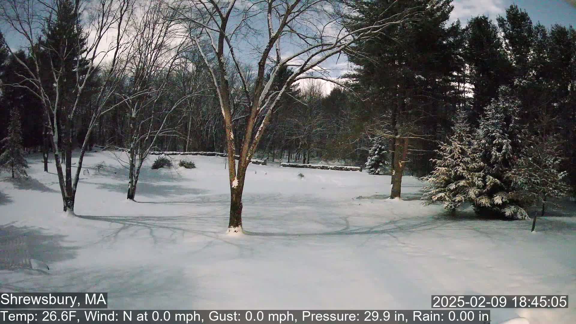 A snow-covered yard with bare, snow-laden trees under a twilight sky.