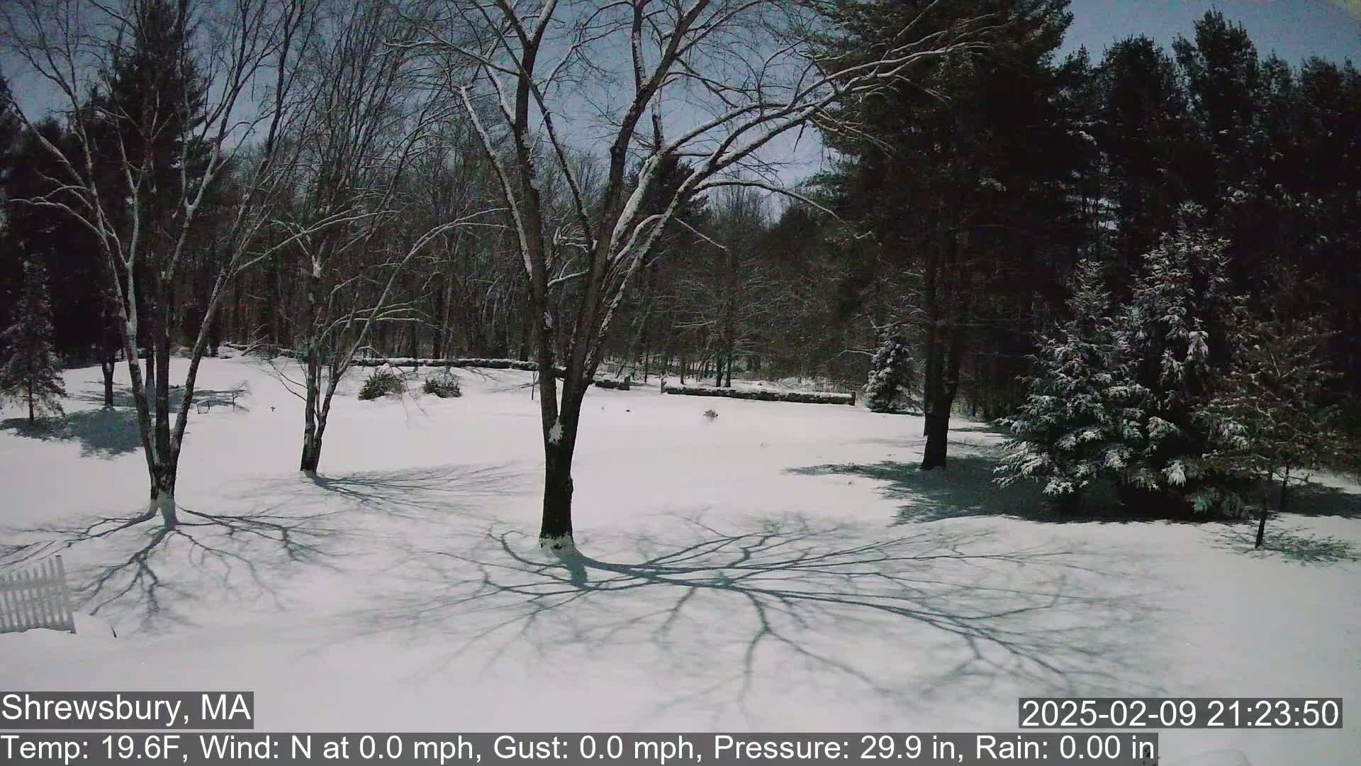 A snow-covered yard with leafless trees and their long shadows cast on the ground under a twilight sky.