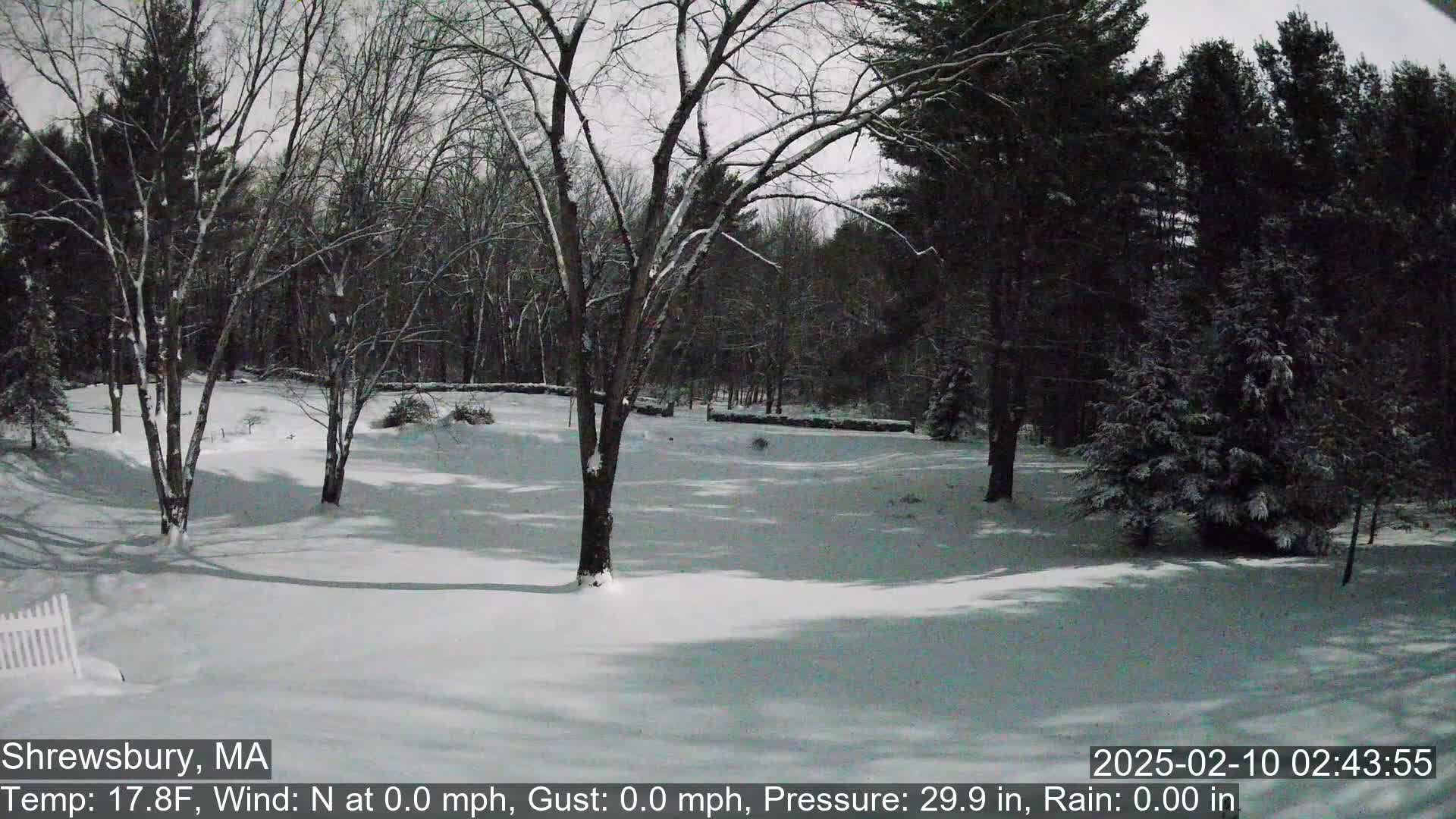A snow-covered yard and woods are visible under a gray sky.