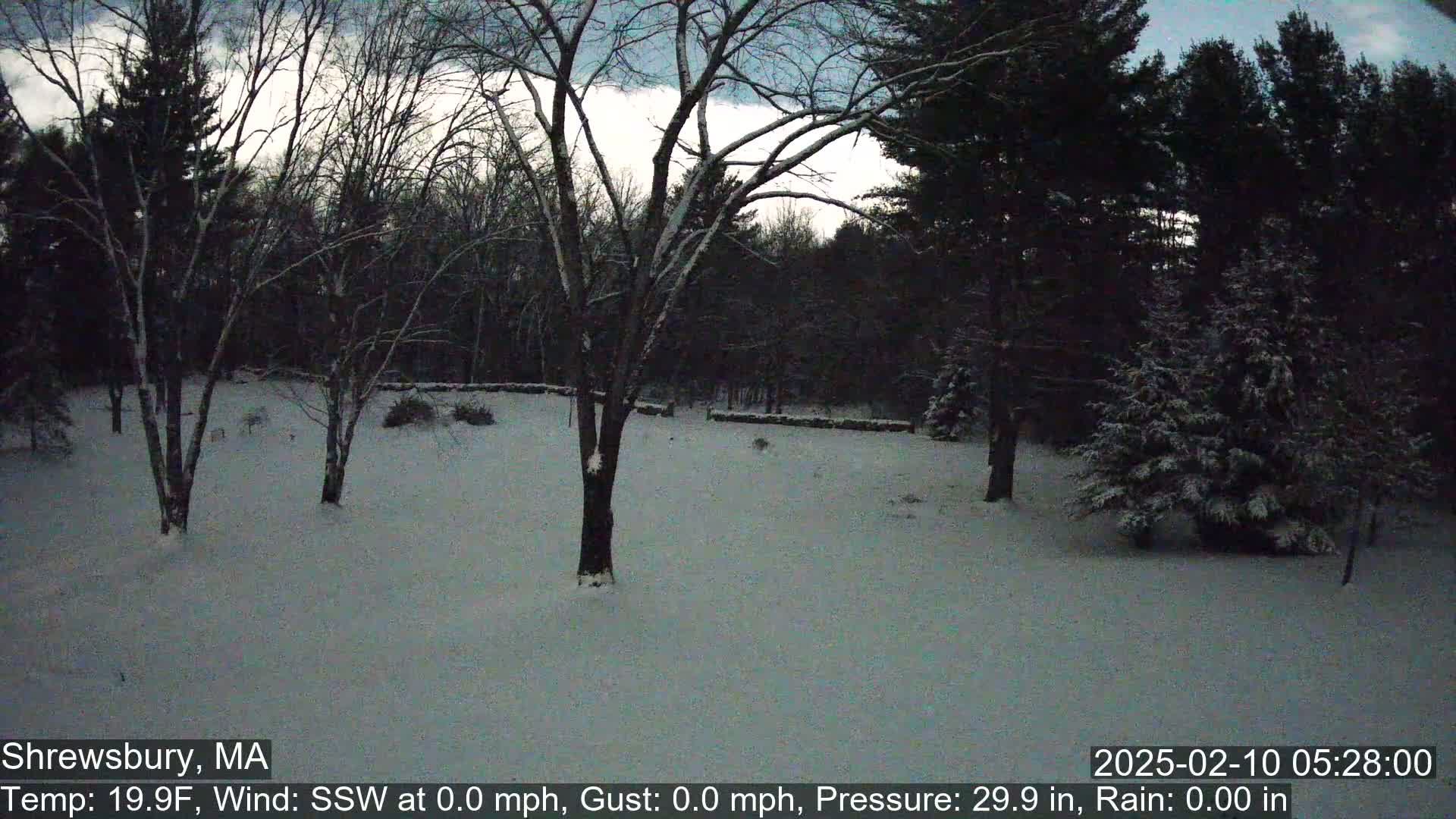 A snow-covered yard with leafless trees and evergreens under a cloudy, twilight sky.