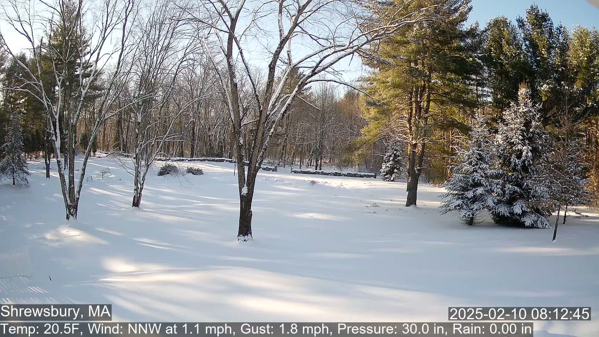 A snow-covered landscape with leafless trees and evergreens under a sunny sky.