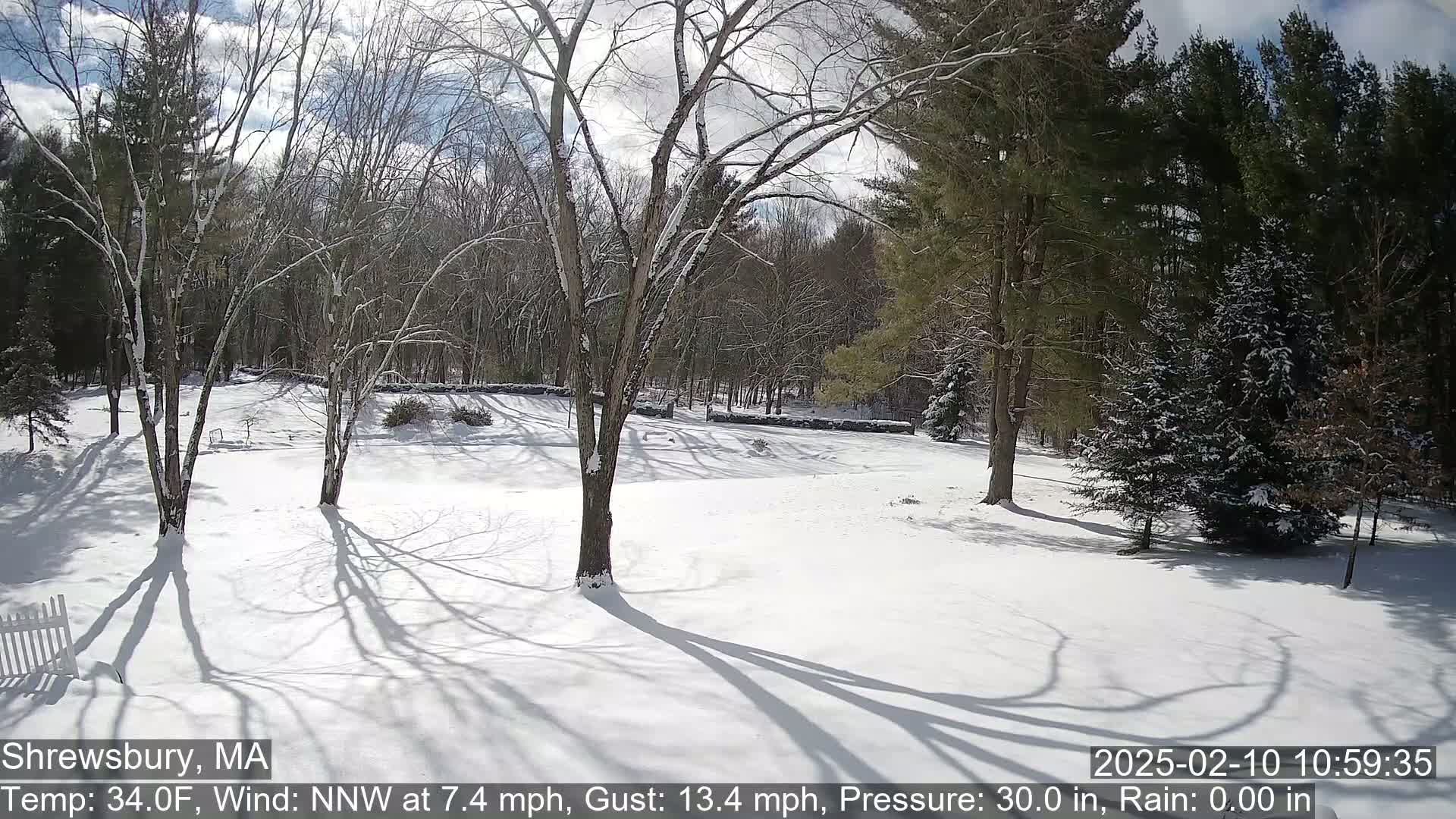 A snow-covered yard with leafless trees and a partially visible stone wall under a partly sunny sky.
