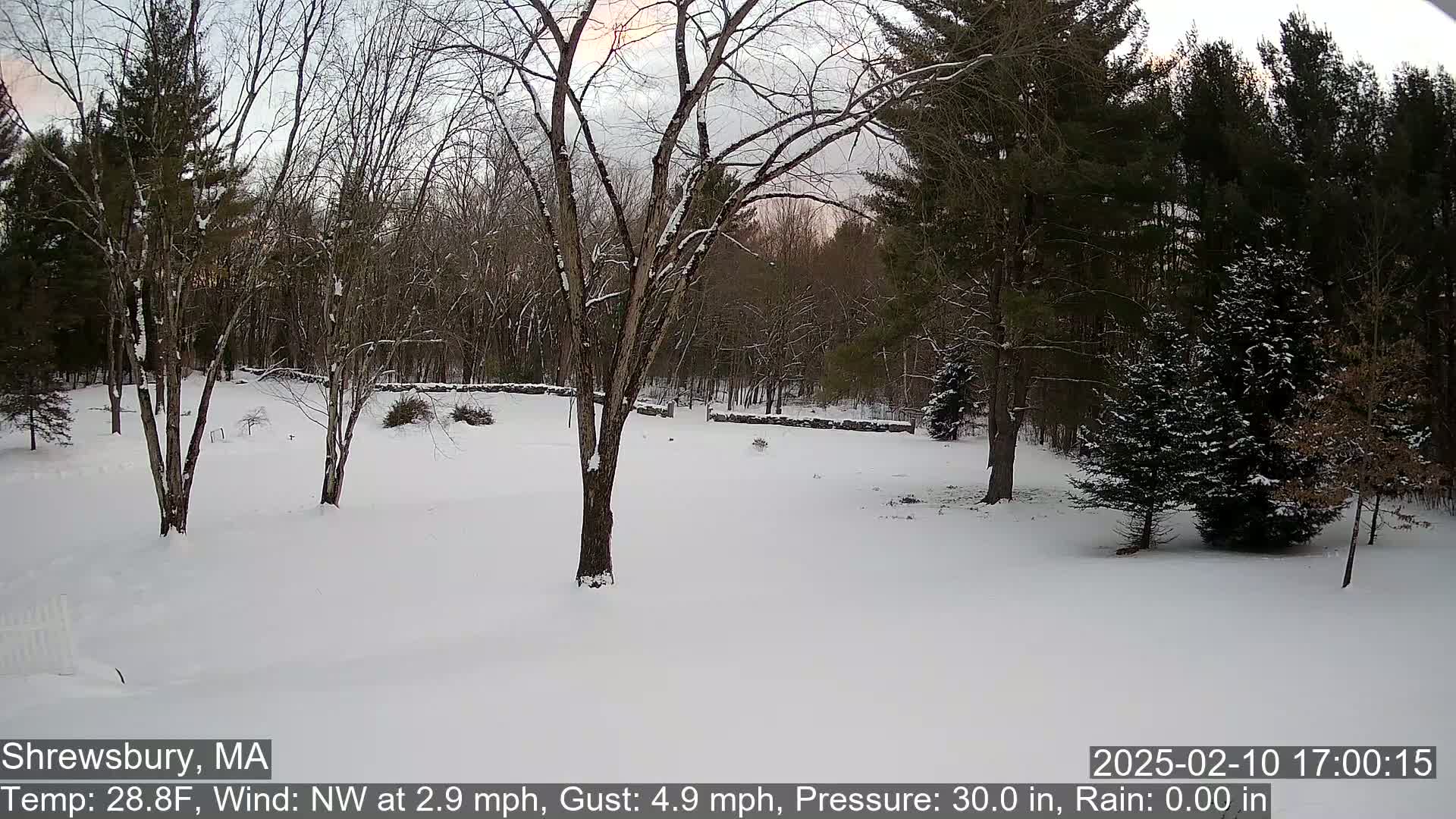 A snow-covered yard with leafless trees and a stone wall in the background under a cloudy sky.