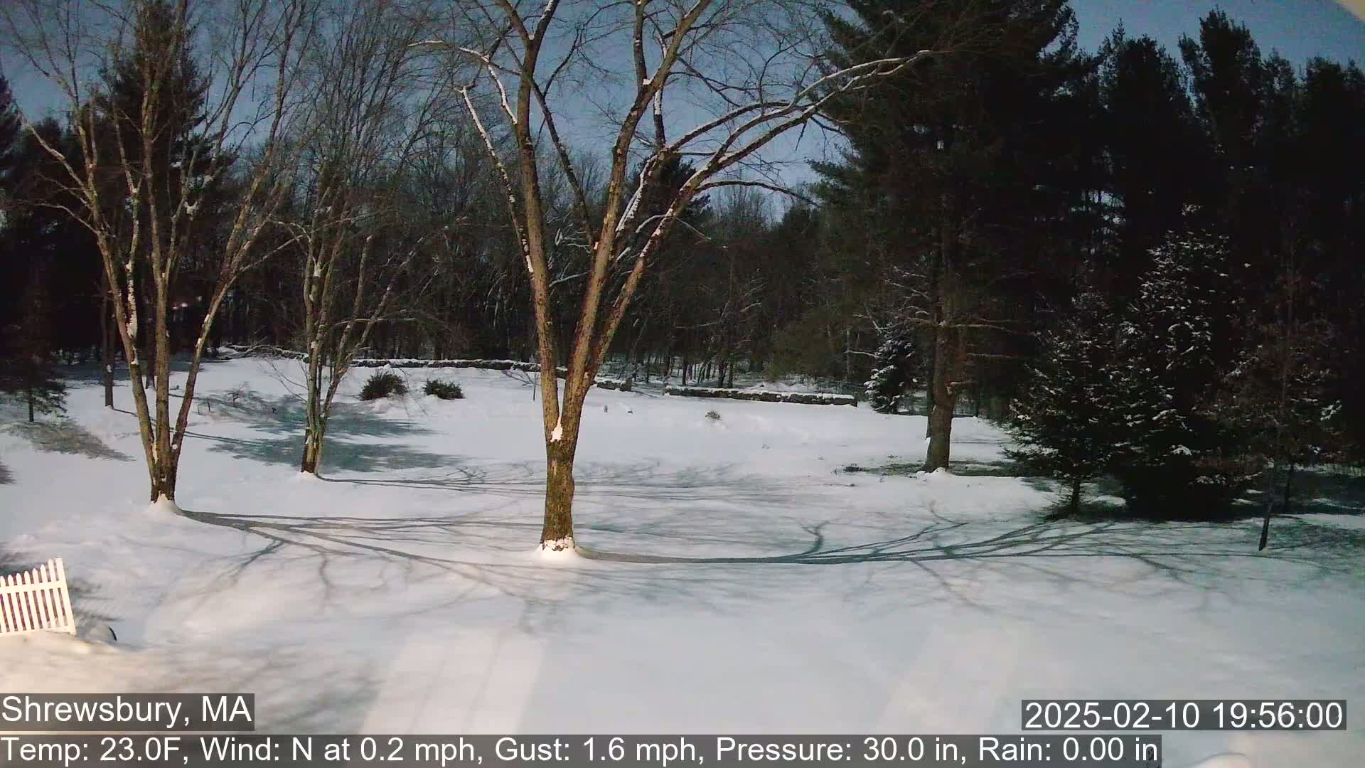 A snow-covered yard with leafless trees under a twilight sky.