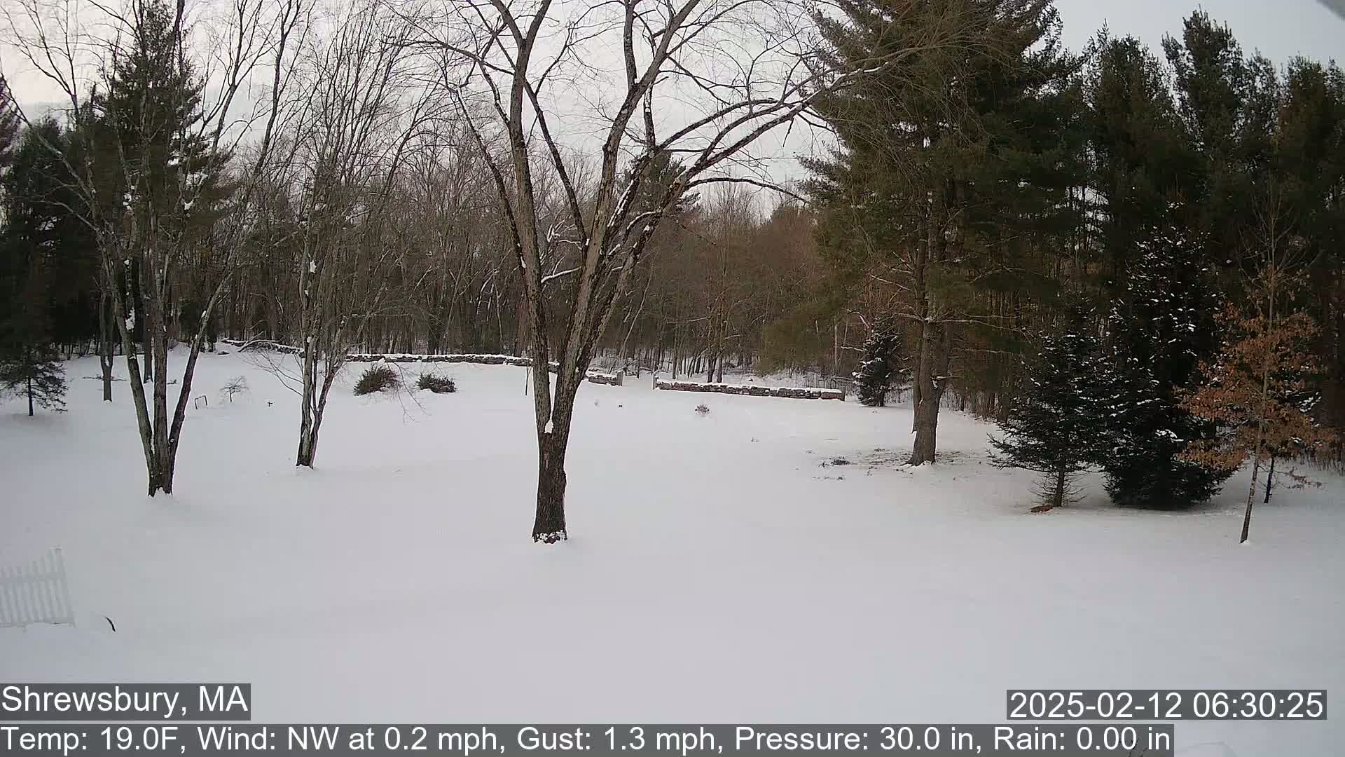 A snow-covered yard with leafless trees and evergreens, a low stone wall in the background, under a cloudy sky.