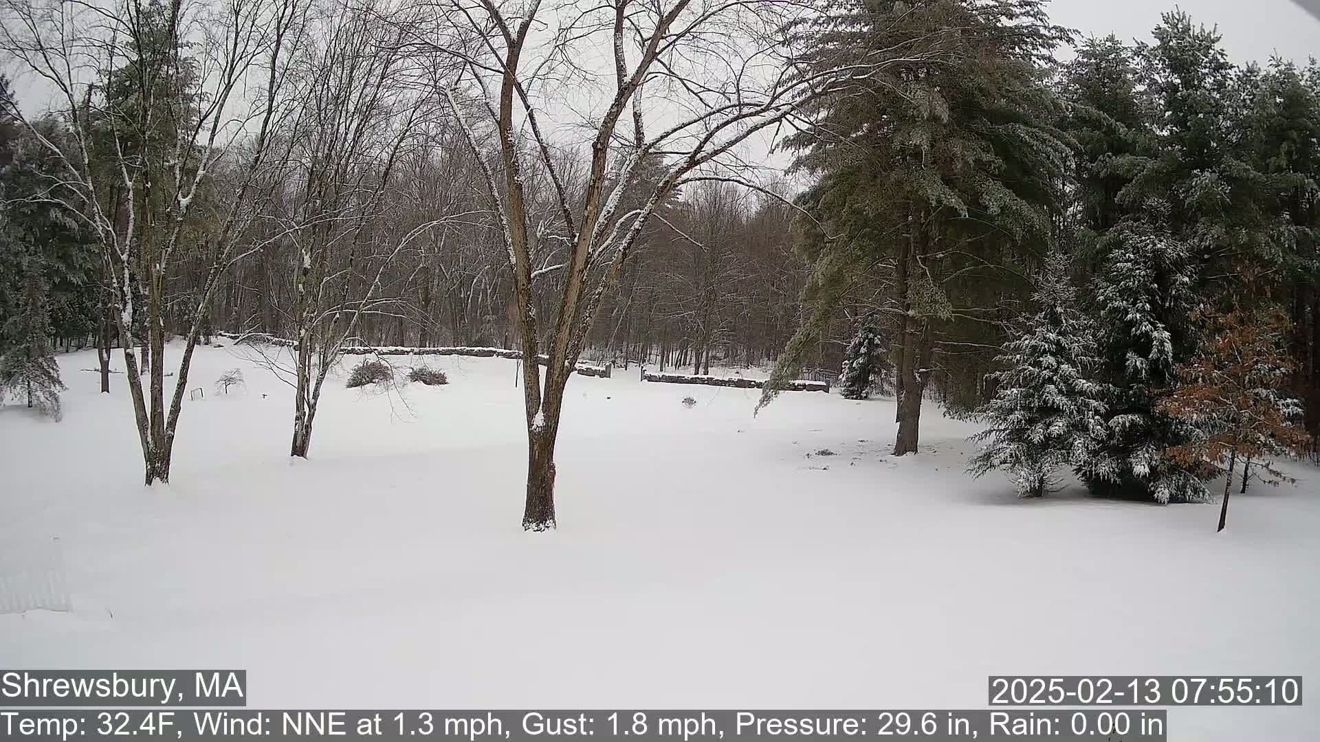 A snow-covered yard with leafless trees and a stone wall in the background during a light snowfall.