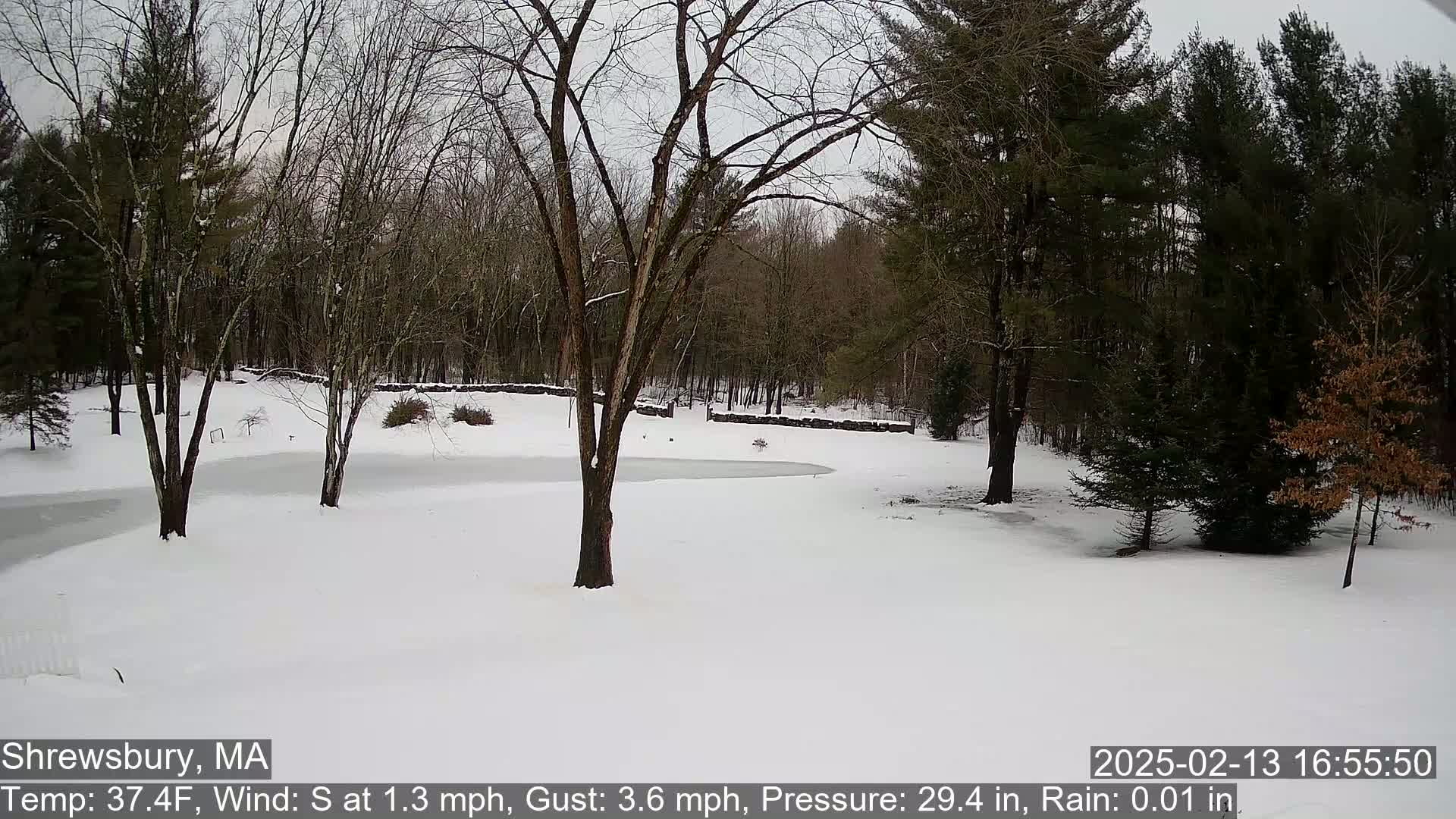 A snow-covered yard with bare trees and a partially frozen pond is surrounded by a wooded area under an overcast sky.
