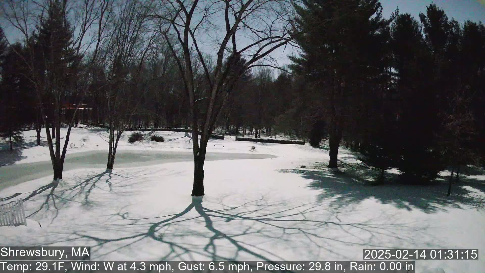 A snow-covered yard with leafless trees and their shadows cast on the ground under a partly cloudy sky.