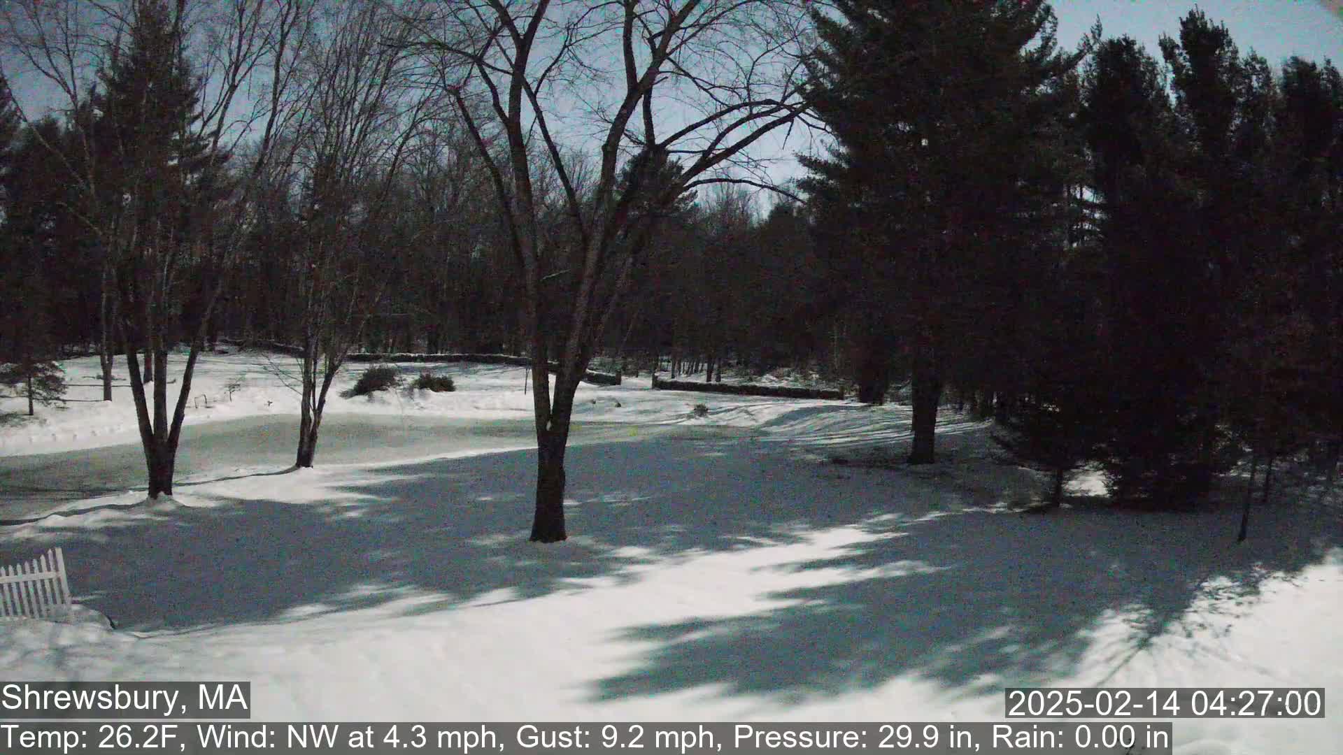A snow-covered yard with leafless trees and a frozen pond under a twilight sky.