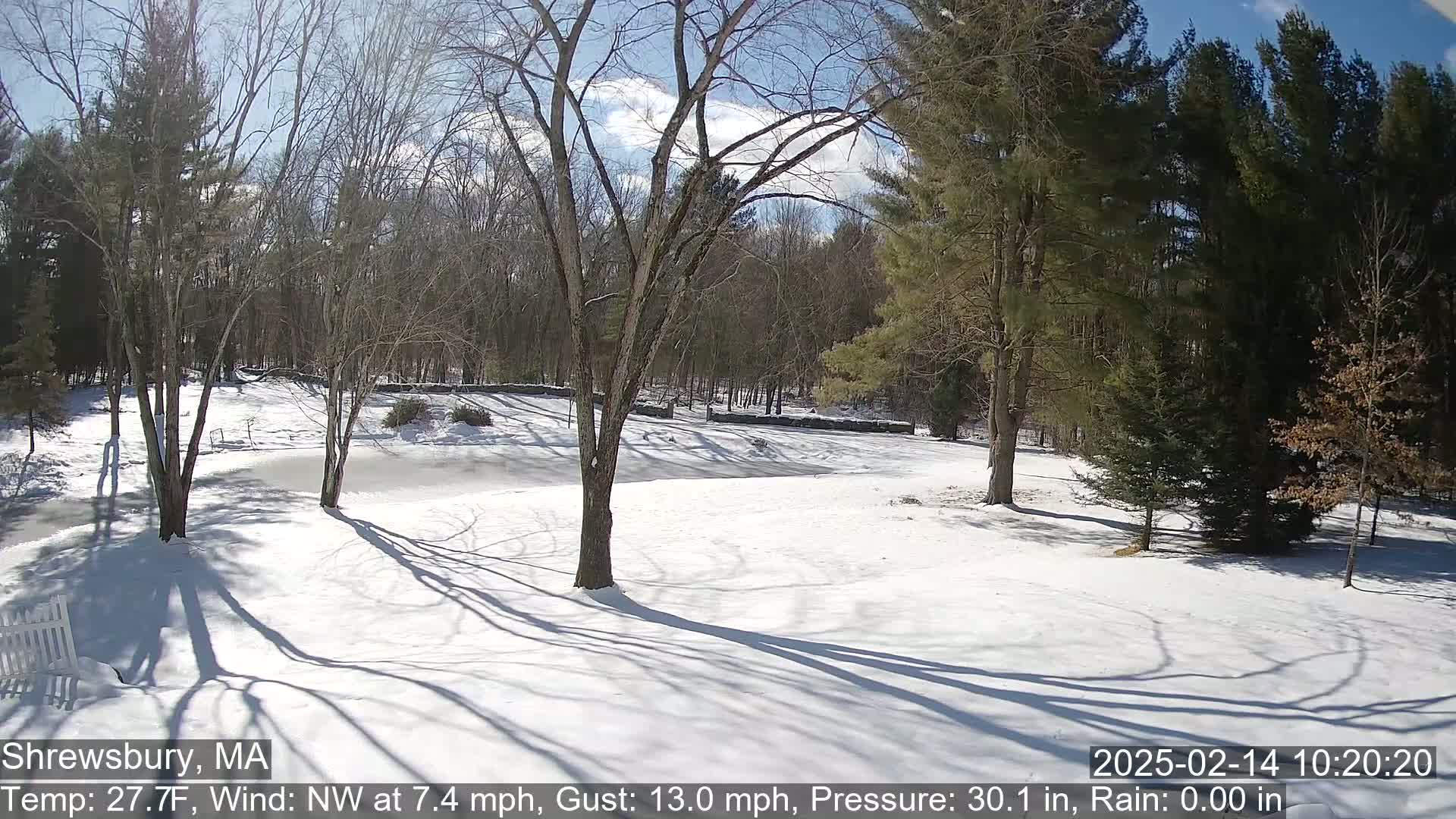 Scenic Pond and Trees Live Cam - Shrewsbury, Massachusetts , USA