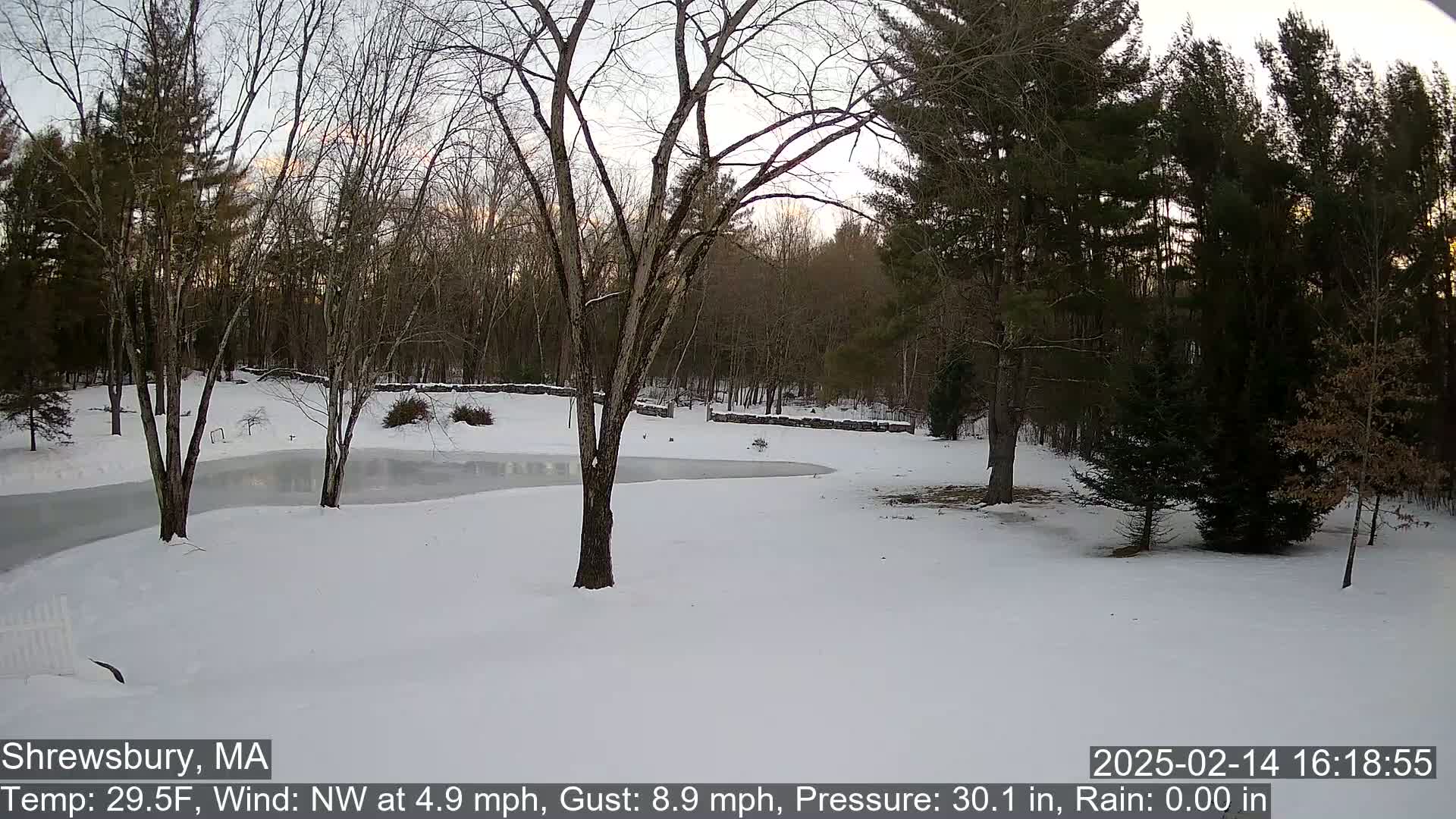 A snow-covered yard with a partially frozen pond is surrounded by leafless trees under a twilight sky.