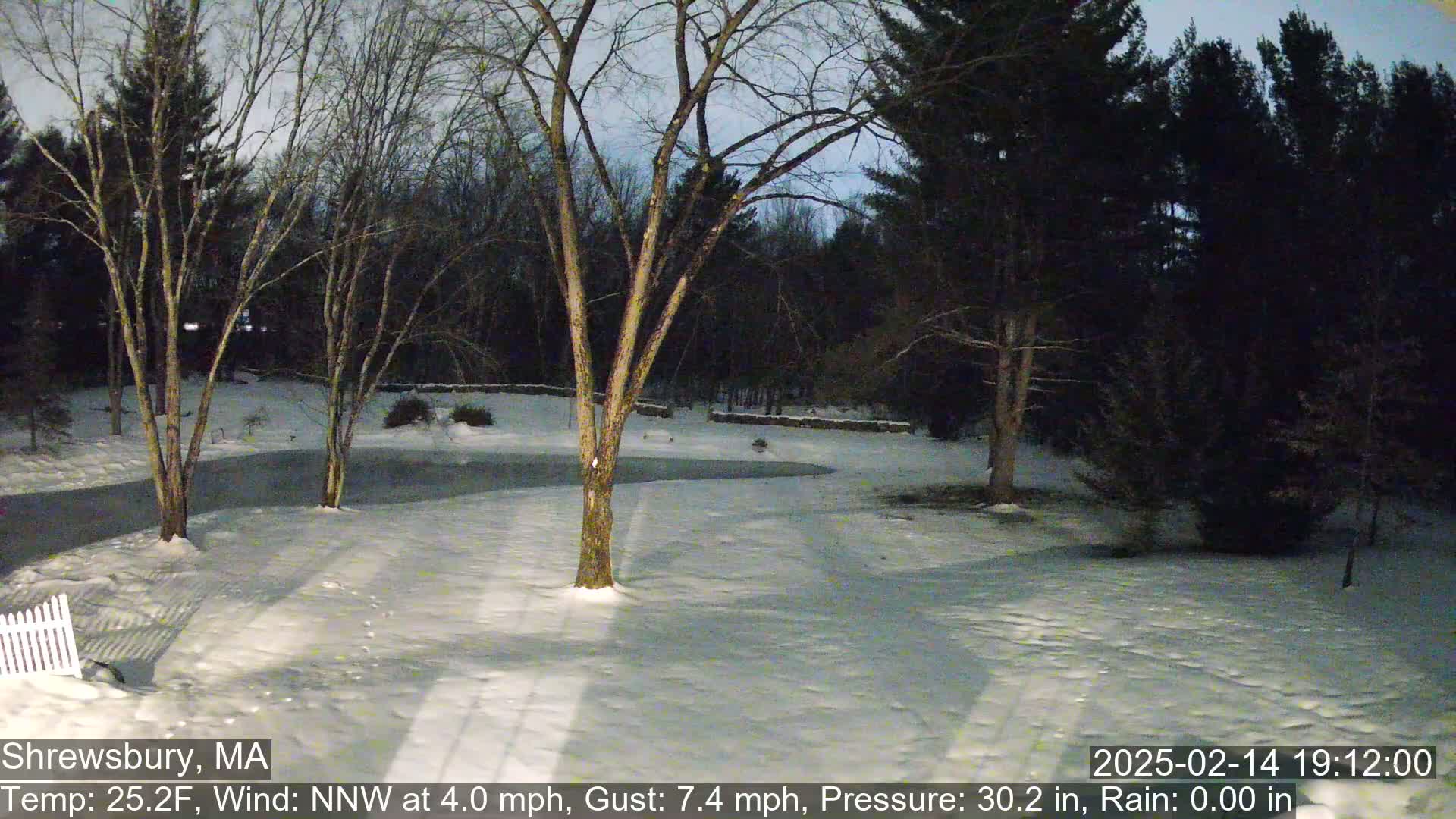 A snow-covered yard at twilight, bordered by leafless trees and evergreens under a dusky sky.