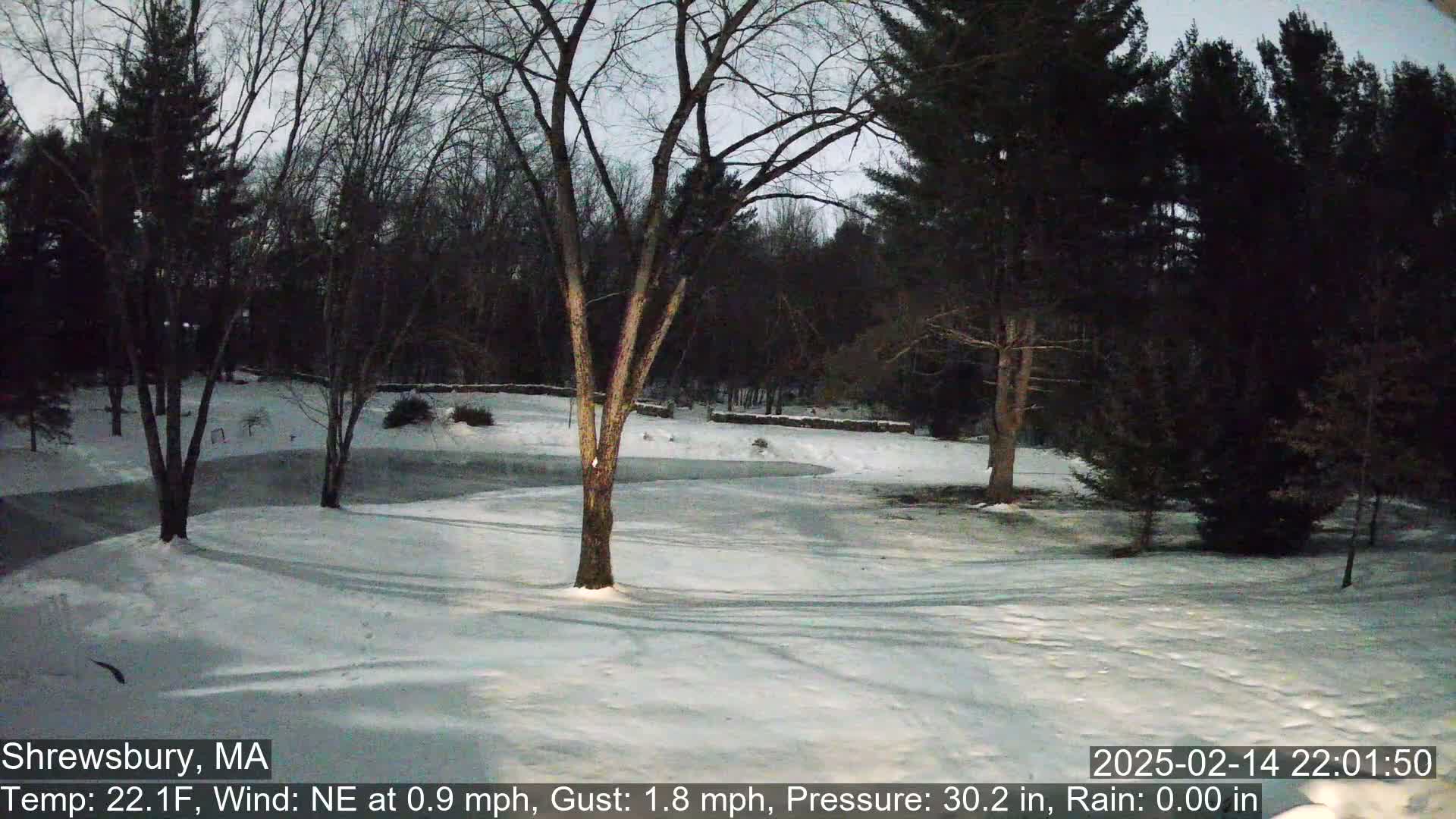 A snow-covered yard with bare trees and a partially frozen pathway under a twilight sky.