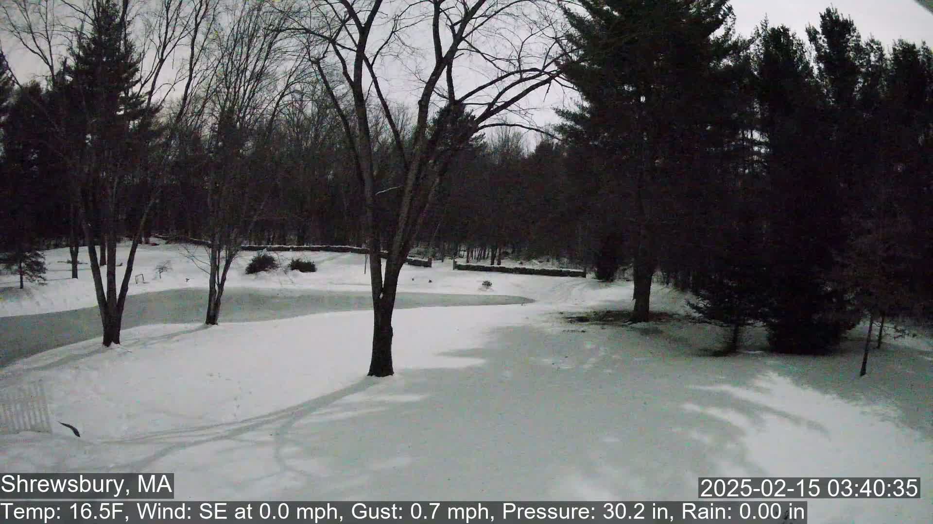 A snow-covered yard with leafless trees and a frozen pond under an overcast sky.