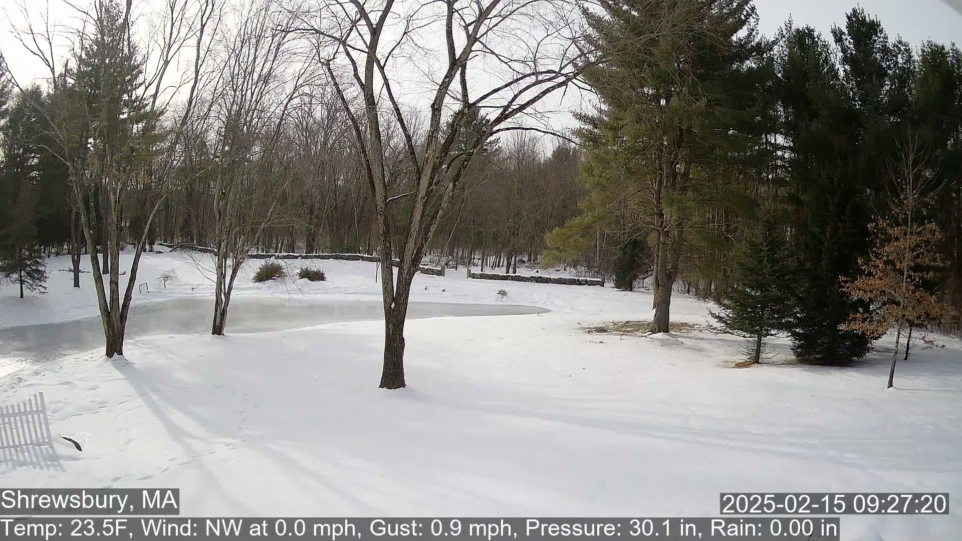 A snow-covered yard with a partially frozen pond is surrounded by bare deciduous trees and evergreens under a bright, clear sky.