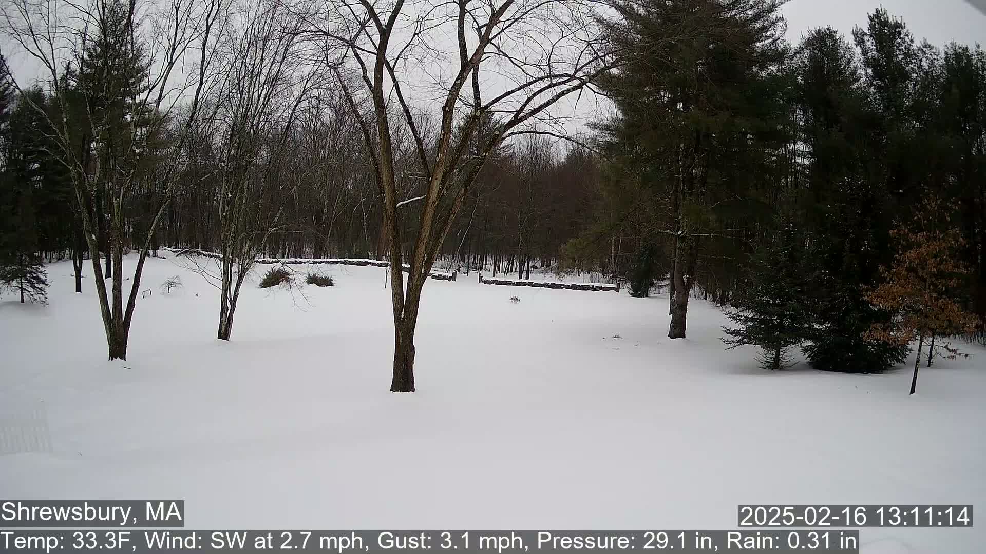 A snow-covered yard with leafless trees and a stone wall in the background, under a cloudy sky.