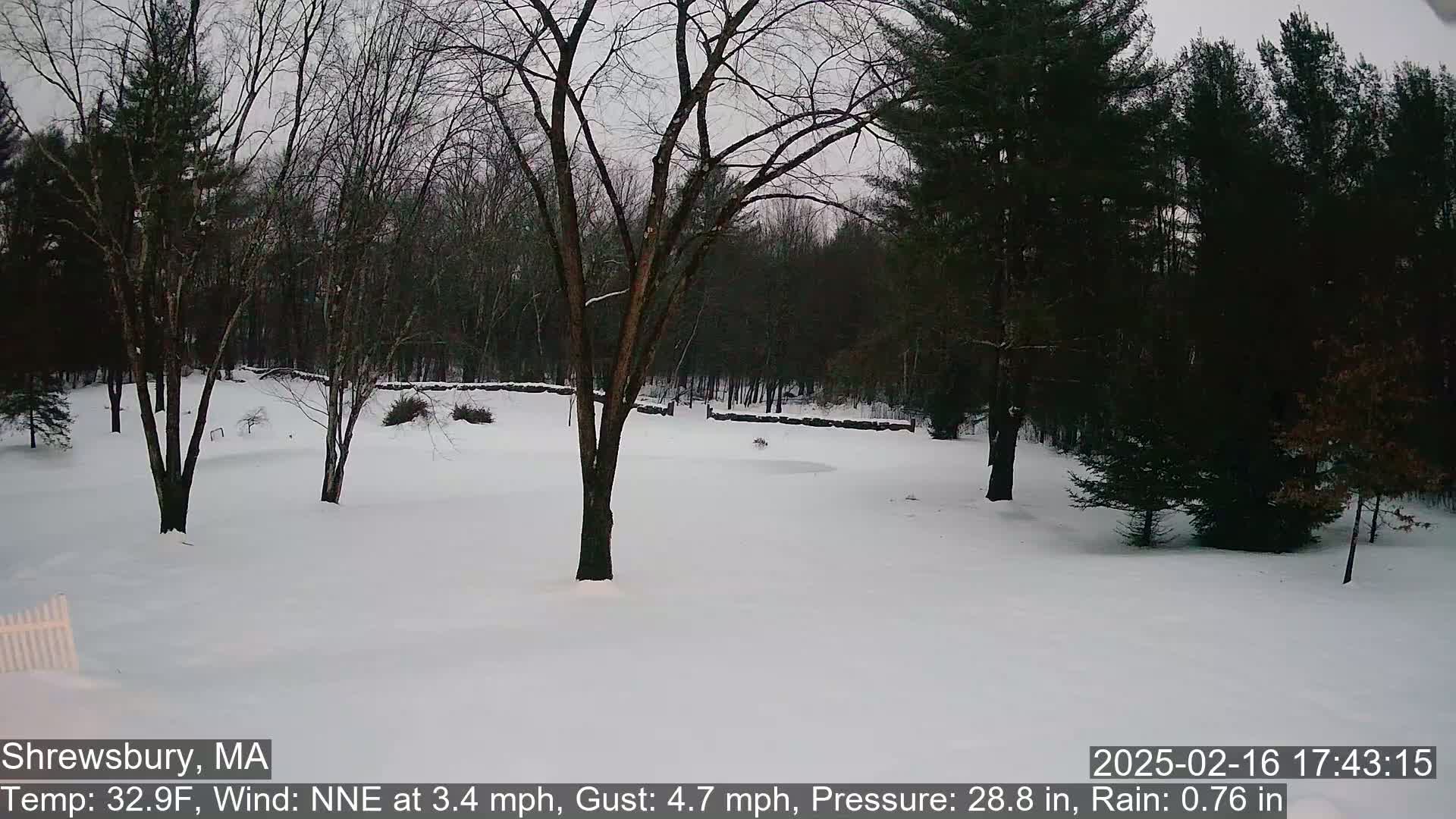 A snow-covered yard with leafless trees and a stone wall in the background under an overcast sky.