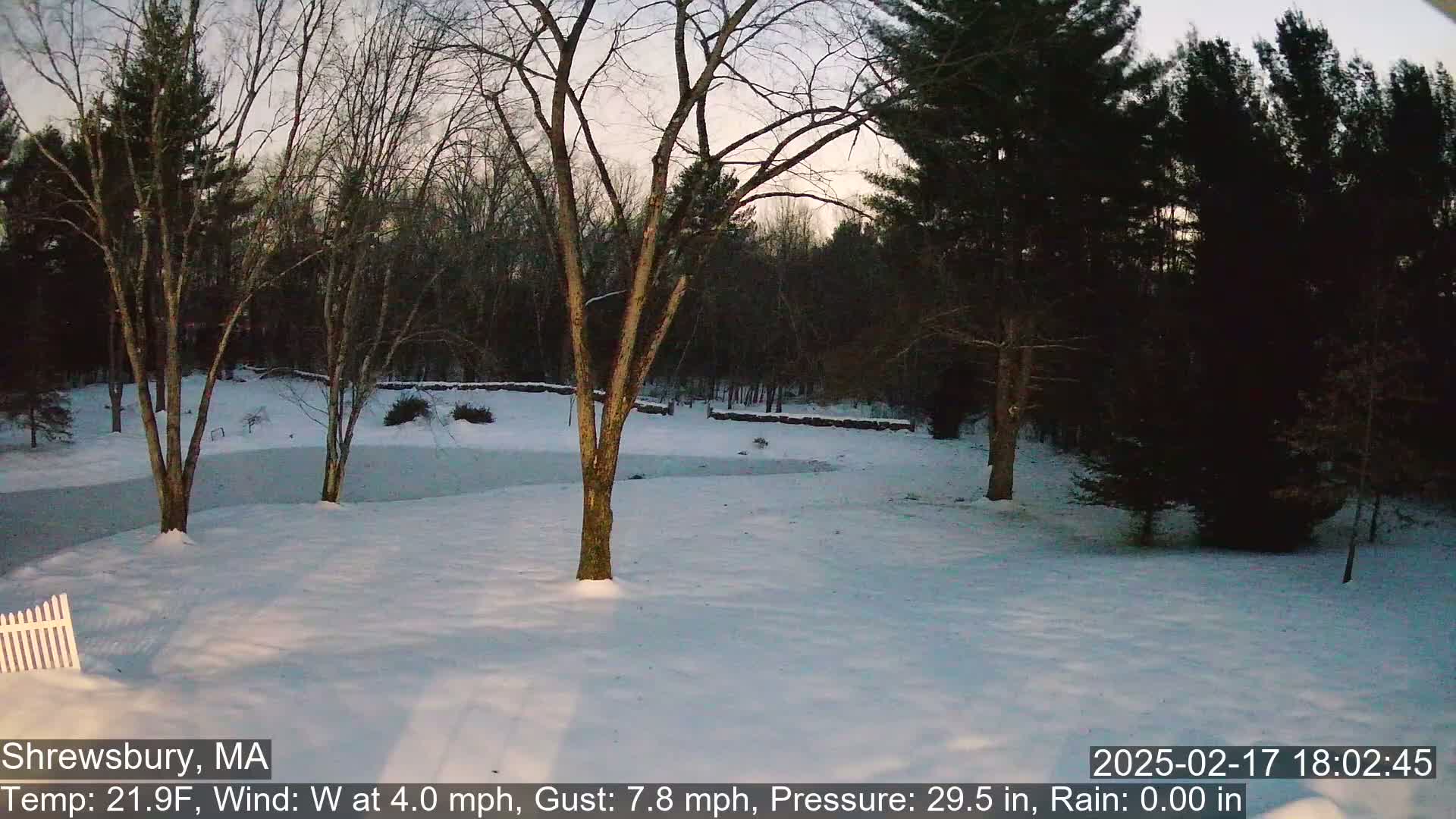 A snow-covered yard with leafless trees and a partially frozen pond is seen at dusk.