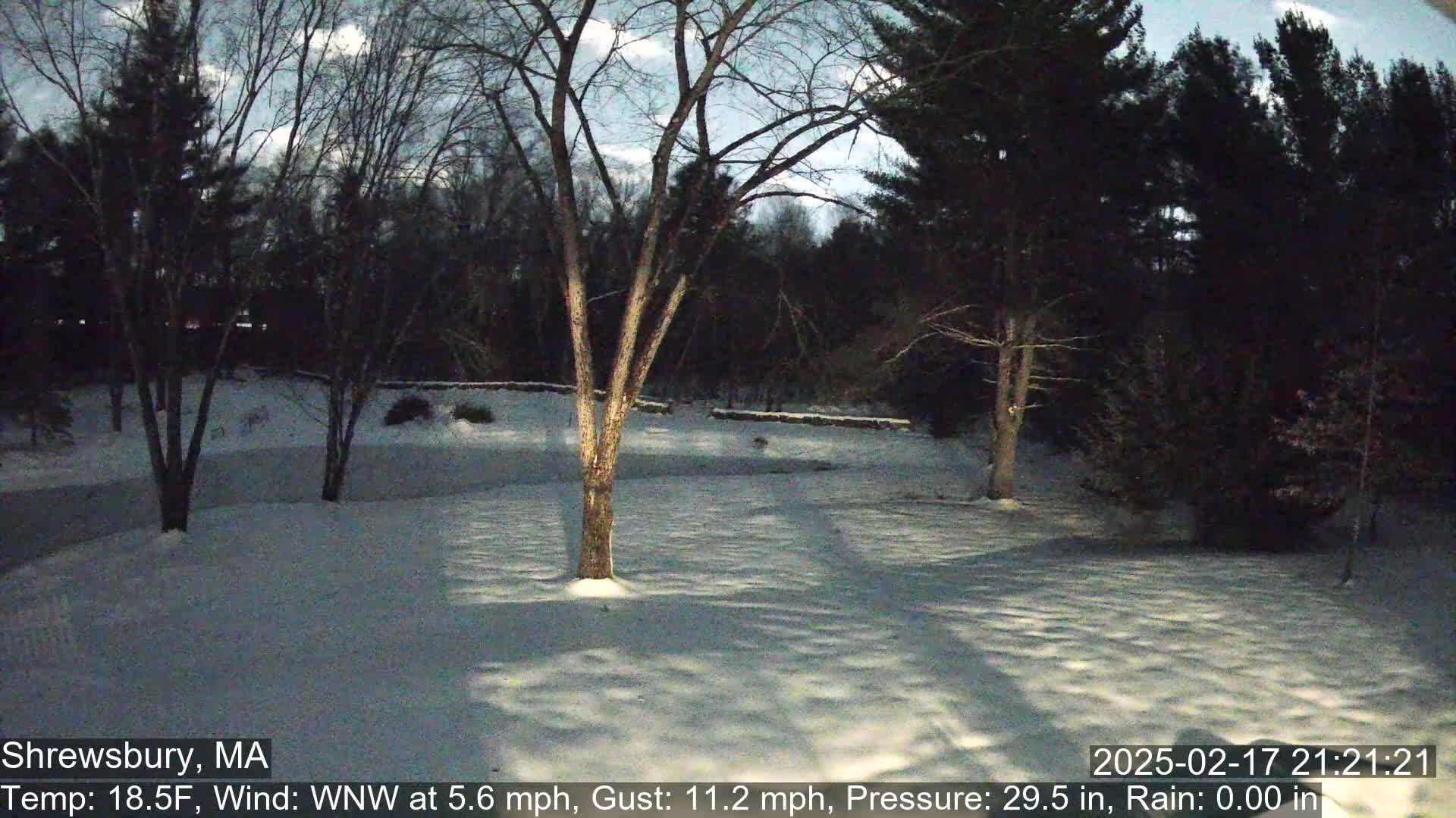 Scenic Pond and Trees Live Cam - Shrewsbury, Massachusetts , USA