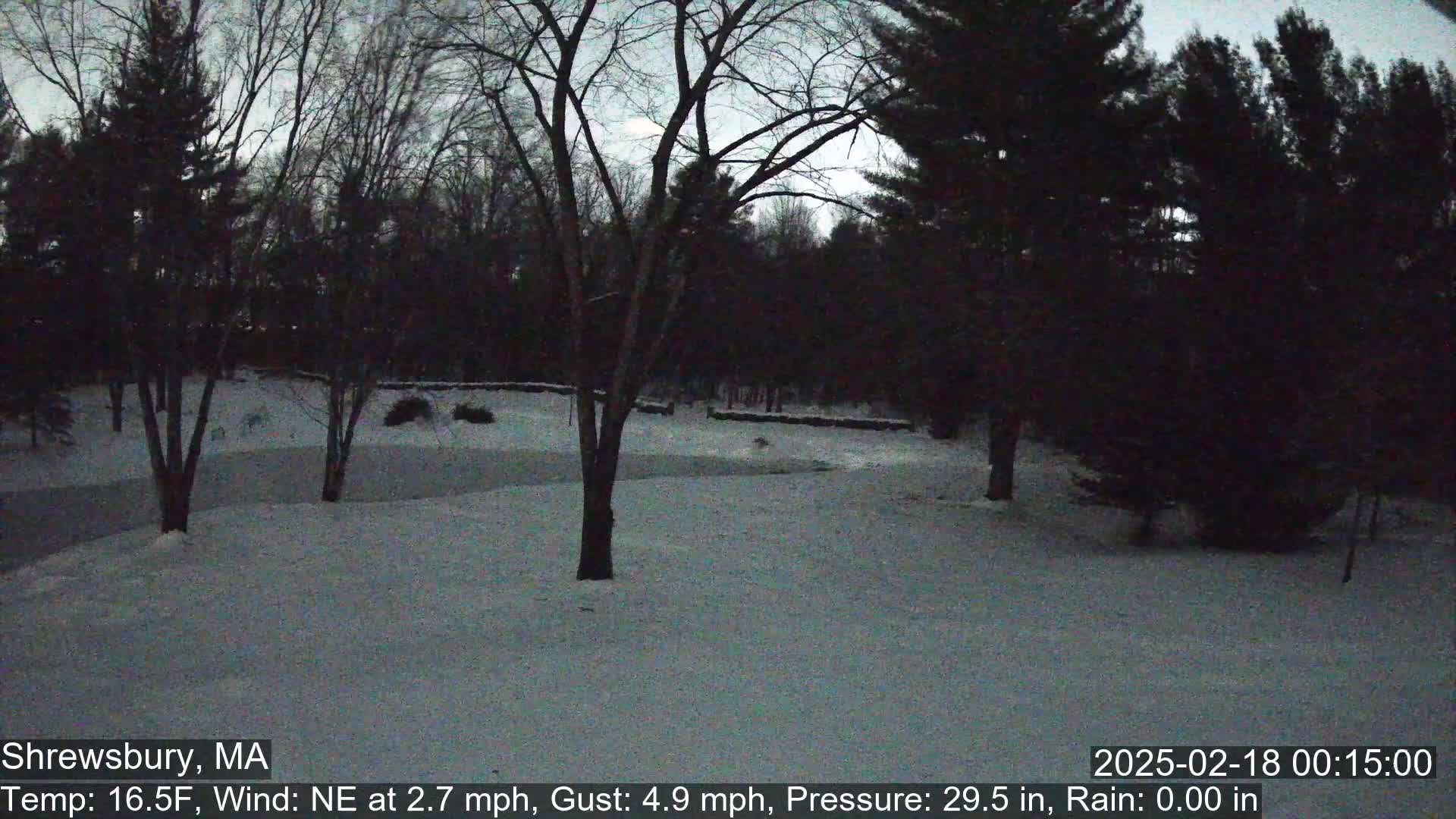 A snow-covered landscape at twilight is visible, featuring bare deciduous trees and evergreens under a mostly clear, dark sky.