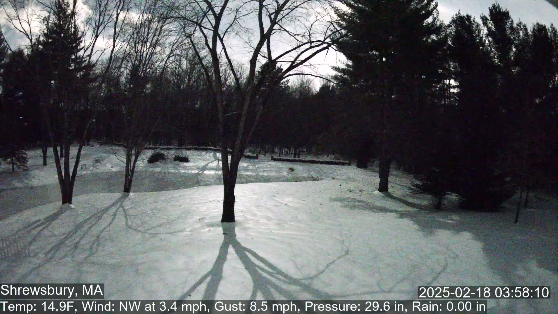 A snow-covered yard with leafless trees under a cloudy sky.