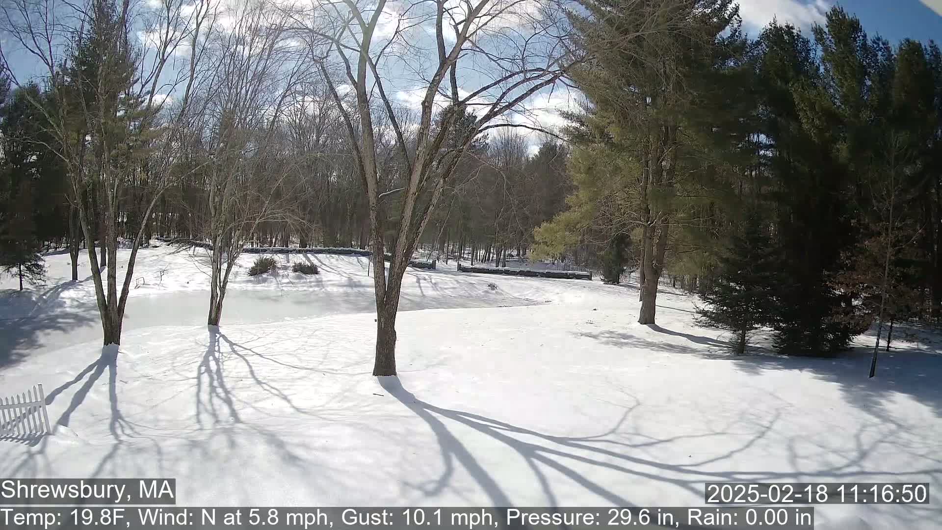 A snow-covered yard with leafless trees and a partially frozen pond is visible under a mostly sunny sky.