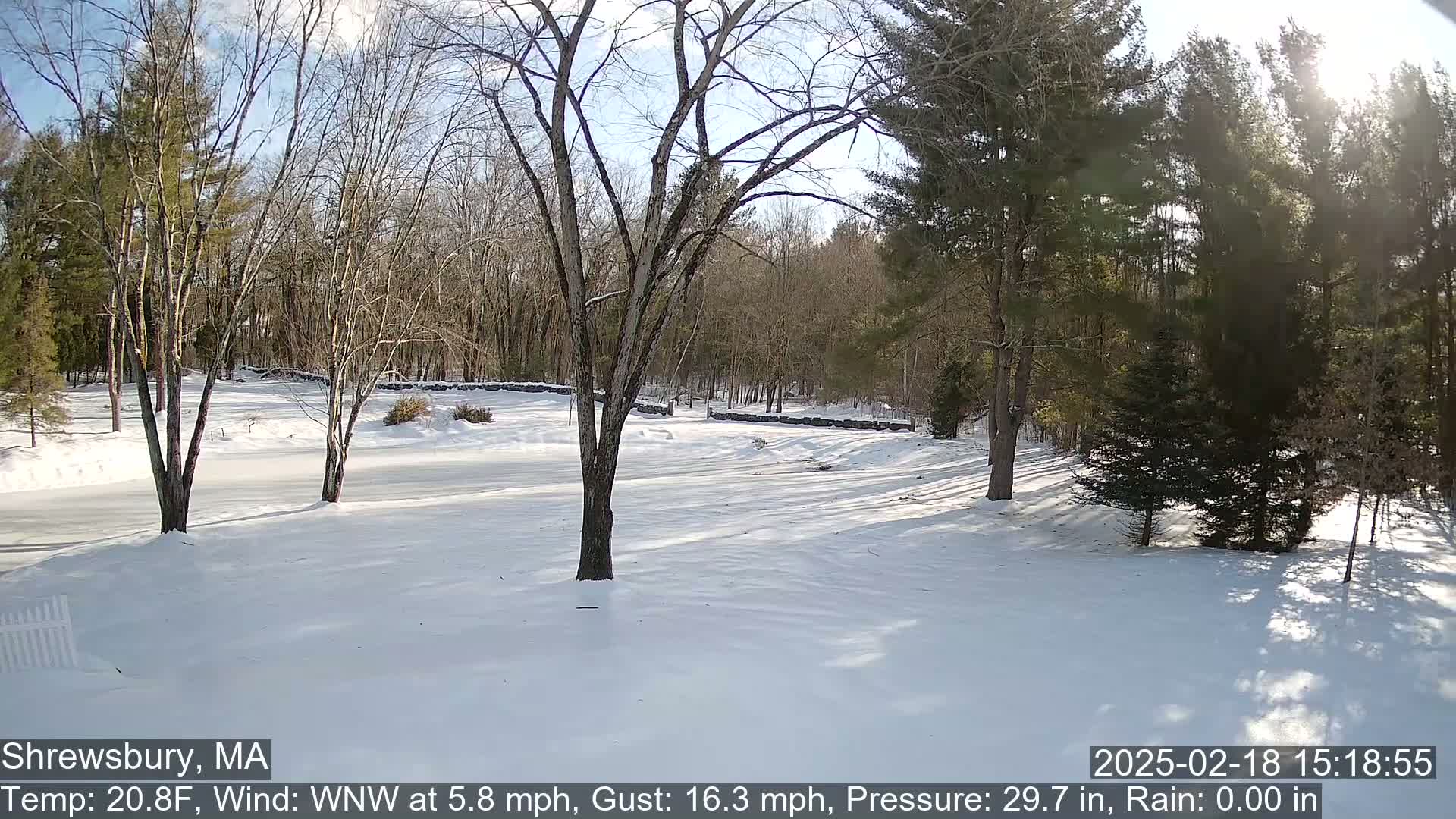 A snow-covered yard with leafless trees and a stone wall in the background under a sunny sky.