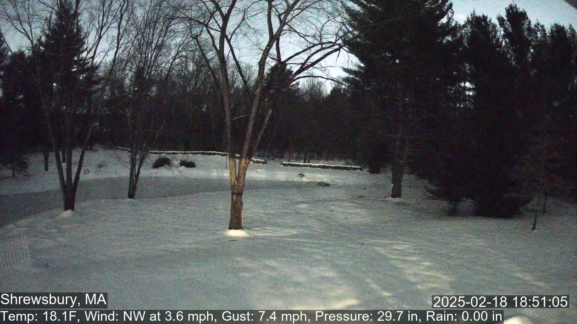 A snow-covered yard with bare trees and a stone wall in the background under a twilight sky.