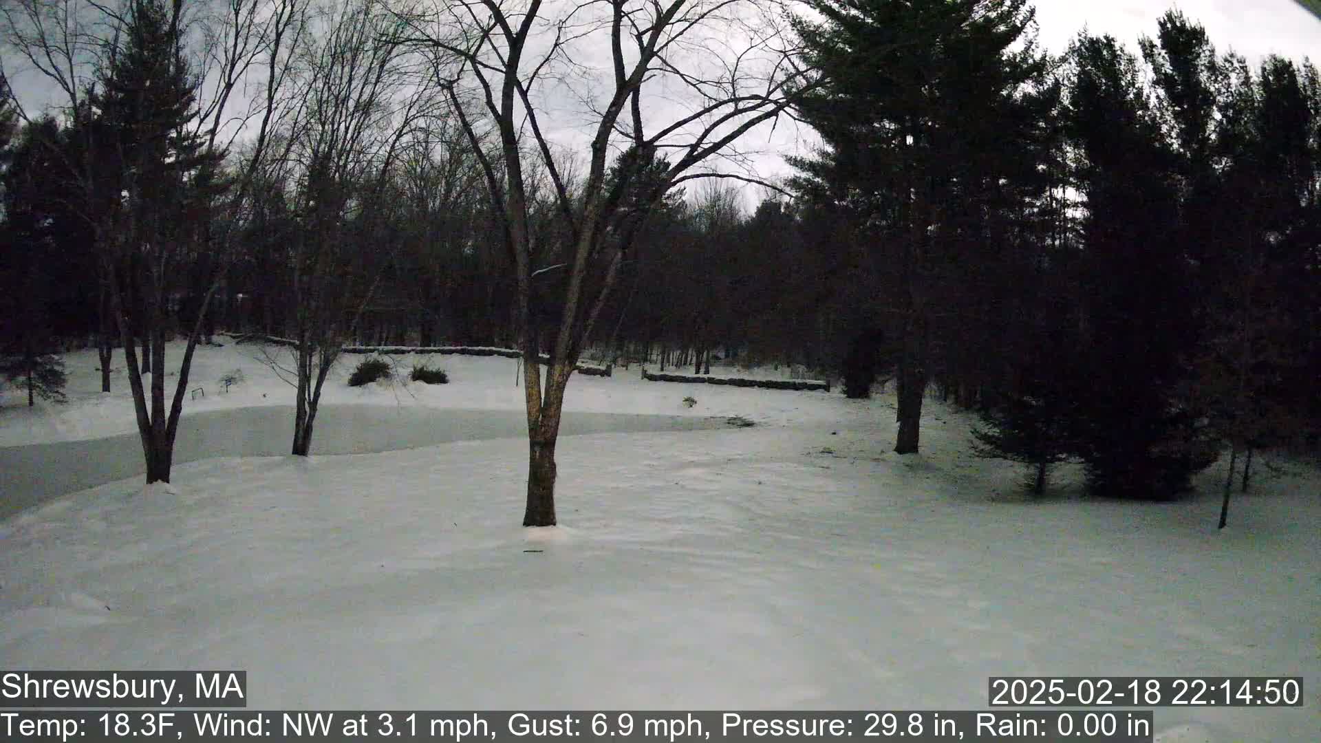 A snow-covered yard with leafless trees and a frozen body of water is visible under a gray, overcast sky.
