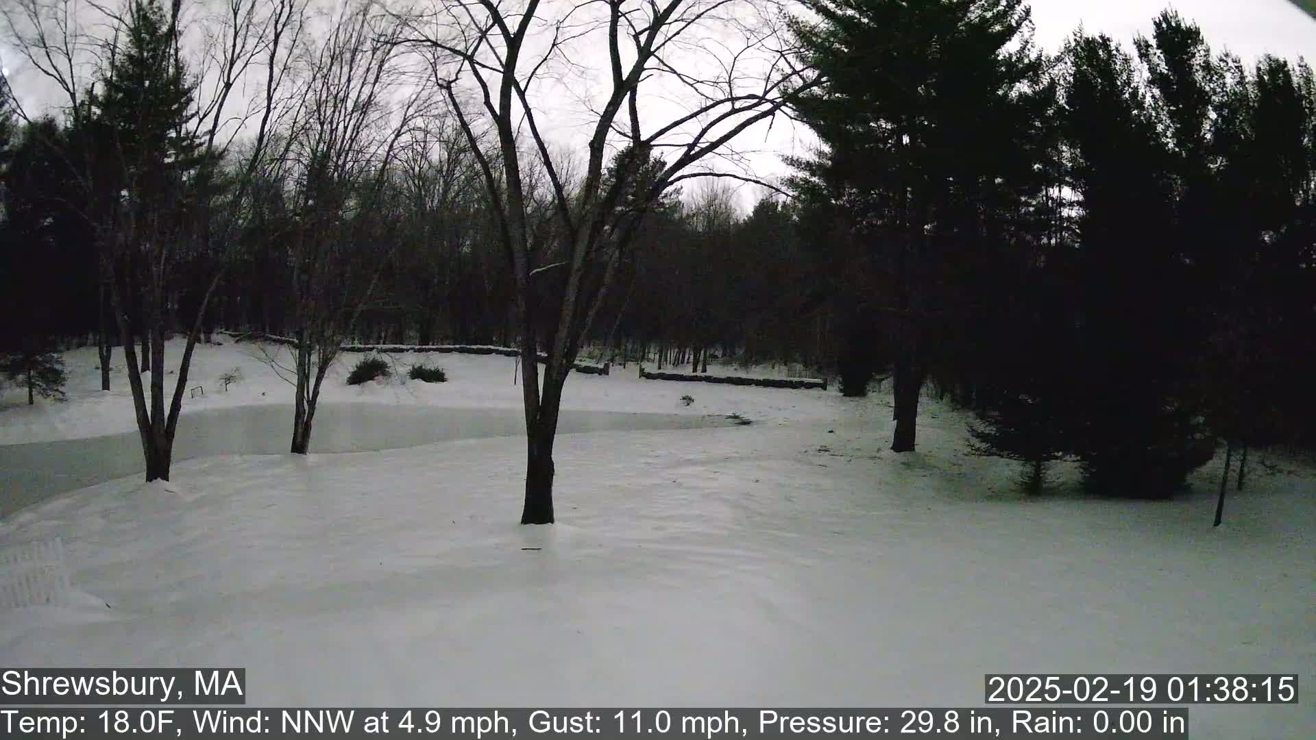 A snow-covered yard, surrounded by bare deciduous trees and evergreens, under a cloudy, twilight sky.