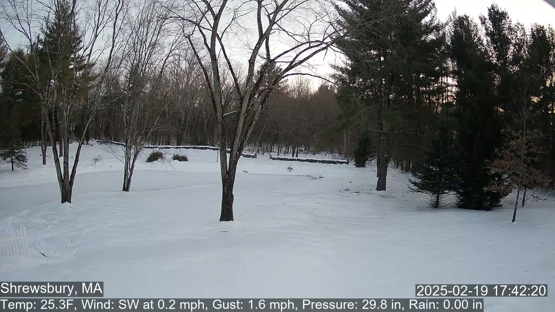 A snow-covered yard with leafless trees and evergreen shrubs surrounds a stone wall under a twilight sky.