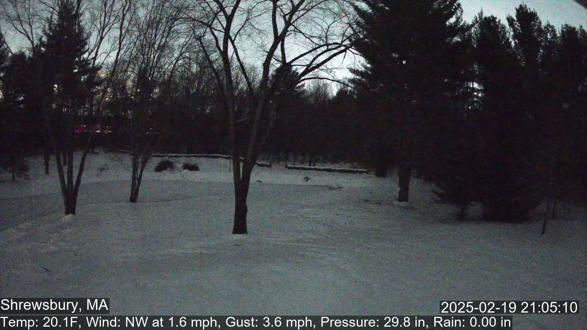 A snow-covered yard with bare trees under a twilight sky.