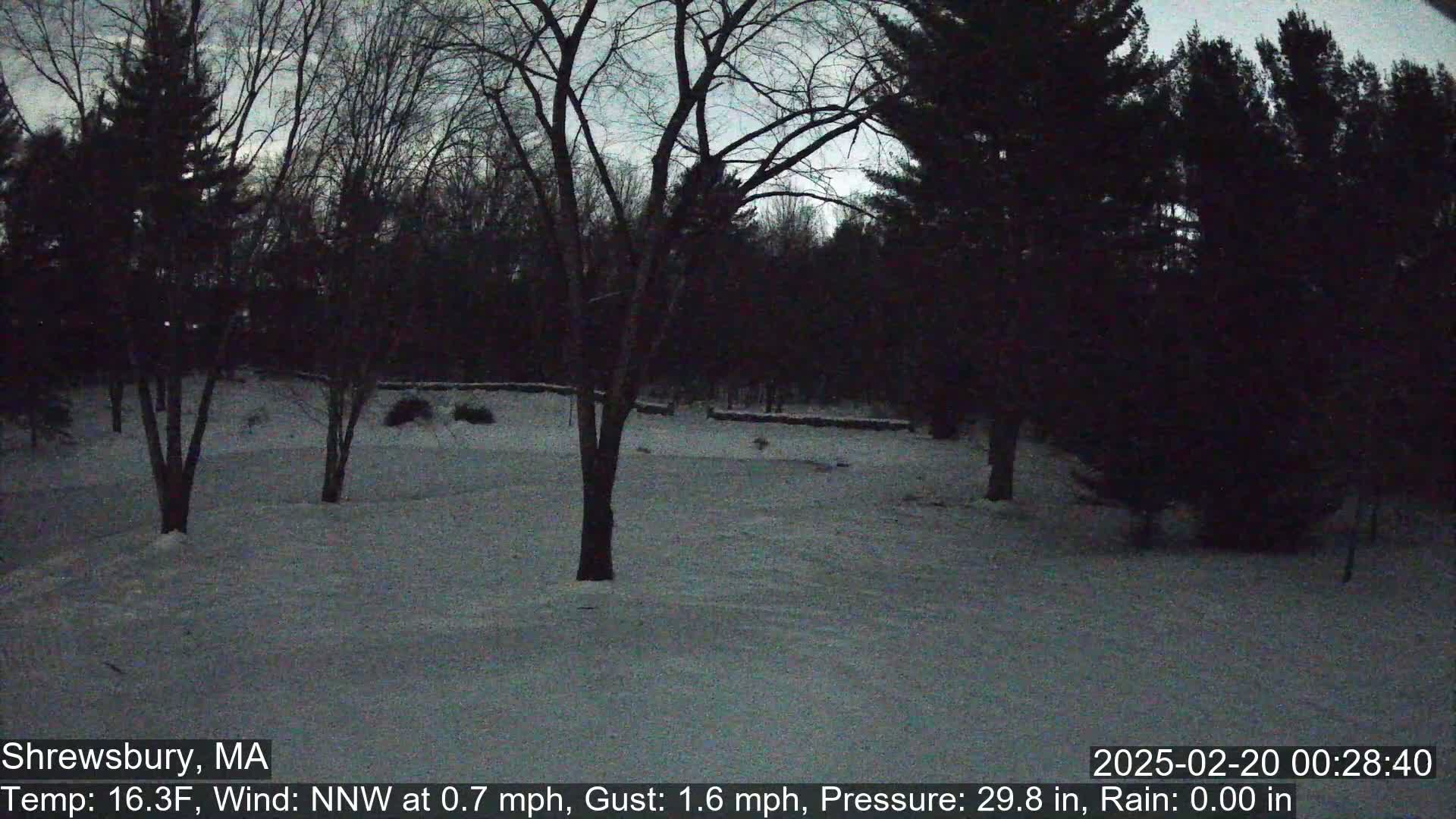 A snow-covered yard at twilight is surrounded by dark, leafless trees under a dusky sky.