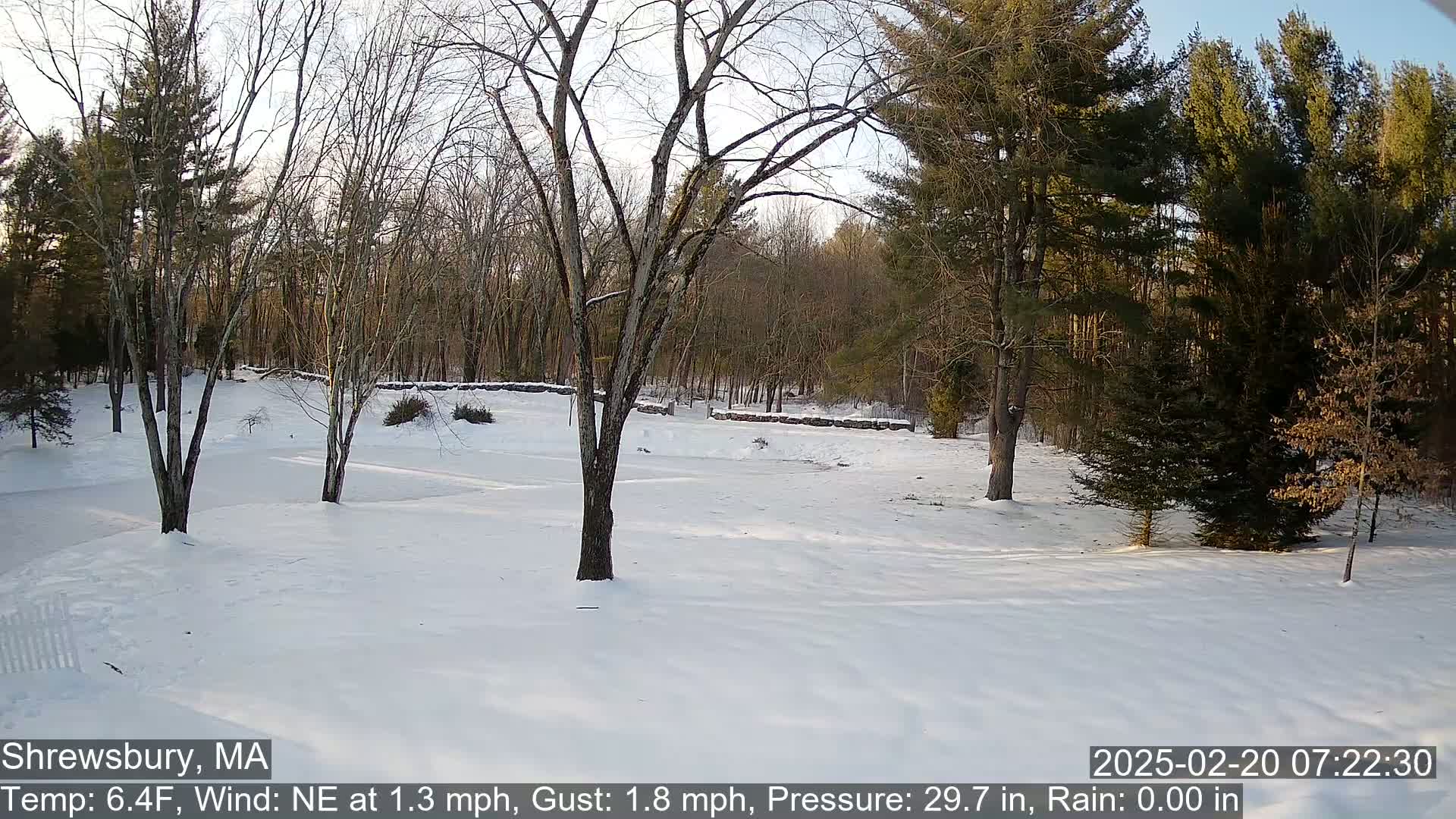 A snow-covered yard with bare trees and evergreens in the background under a partly sunny sky.