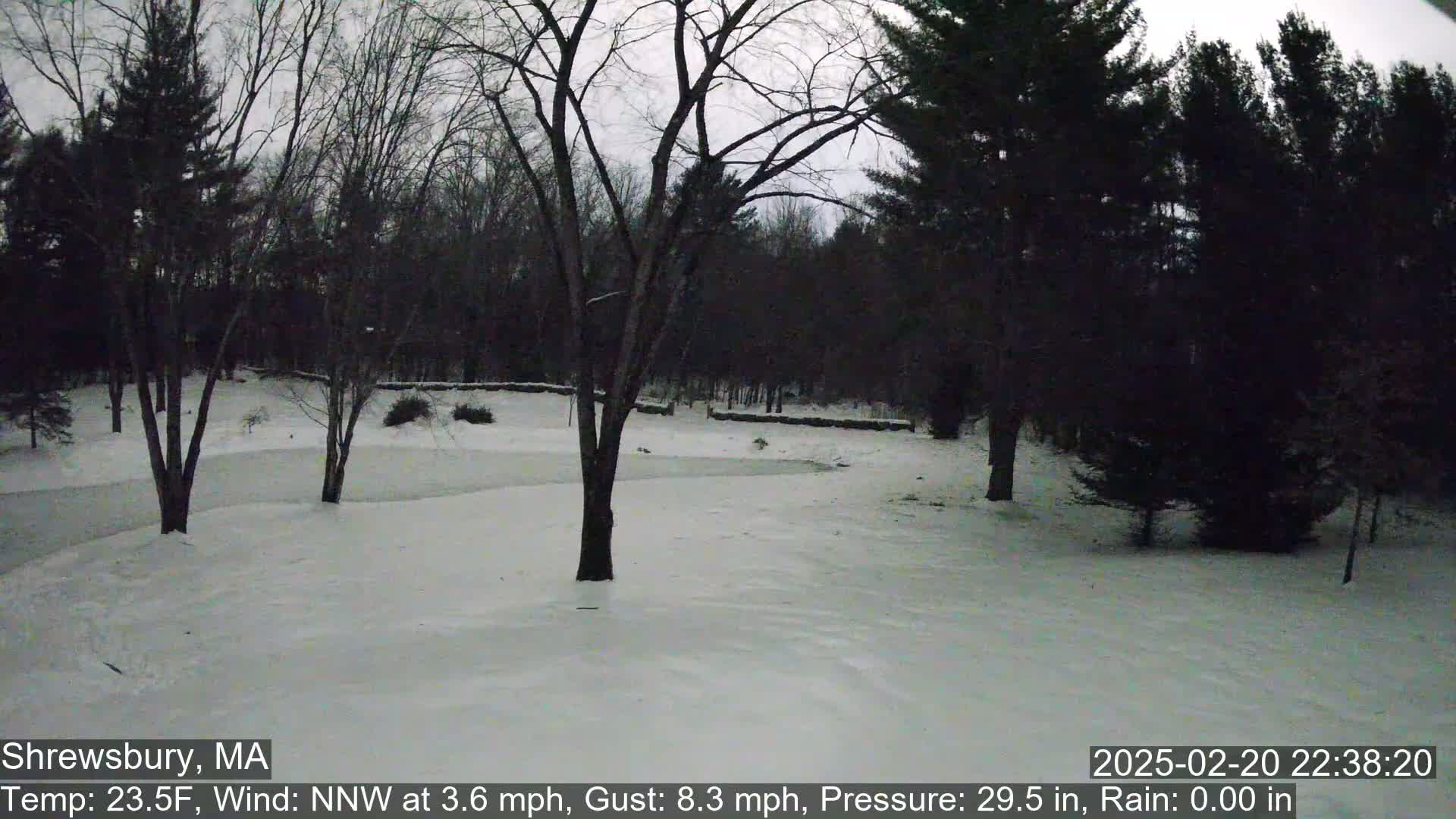 A snow-covered landscape with bare deciduous trees and evergreens under a gray sky.