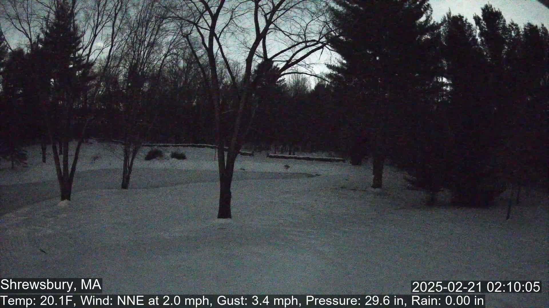 A snow-covered yard with bare trees under a twilight sky.