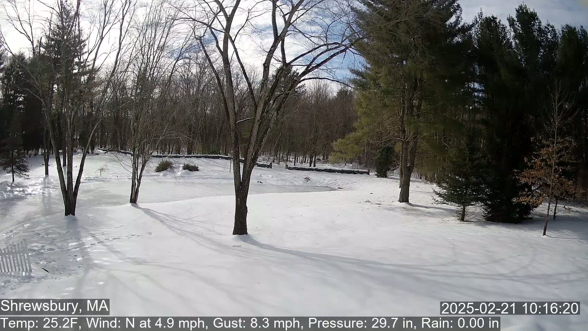 A snow-covered yard with bare trees and evergreens is visible under a partly cloudy sky.