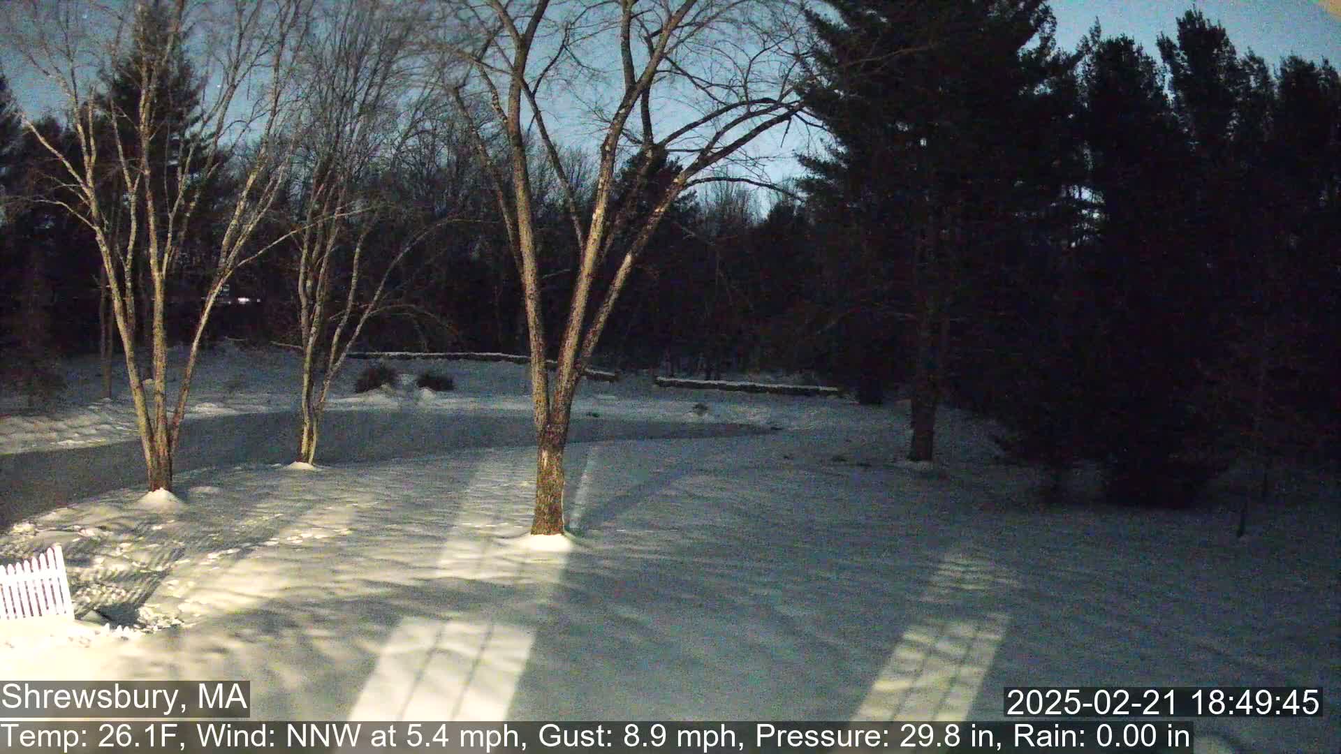 A snow-covered yard is surrounded by bare trees under a twilight sky.