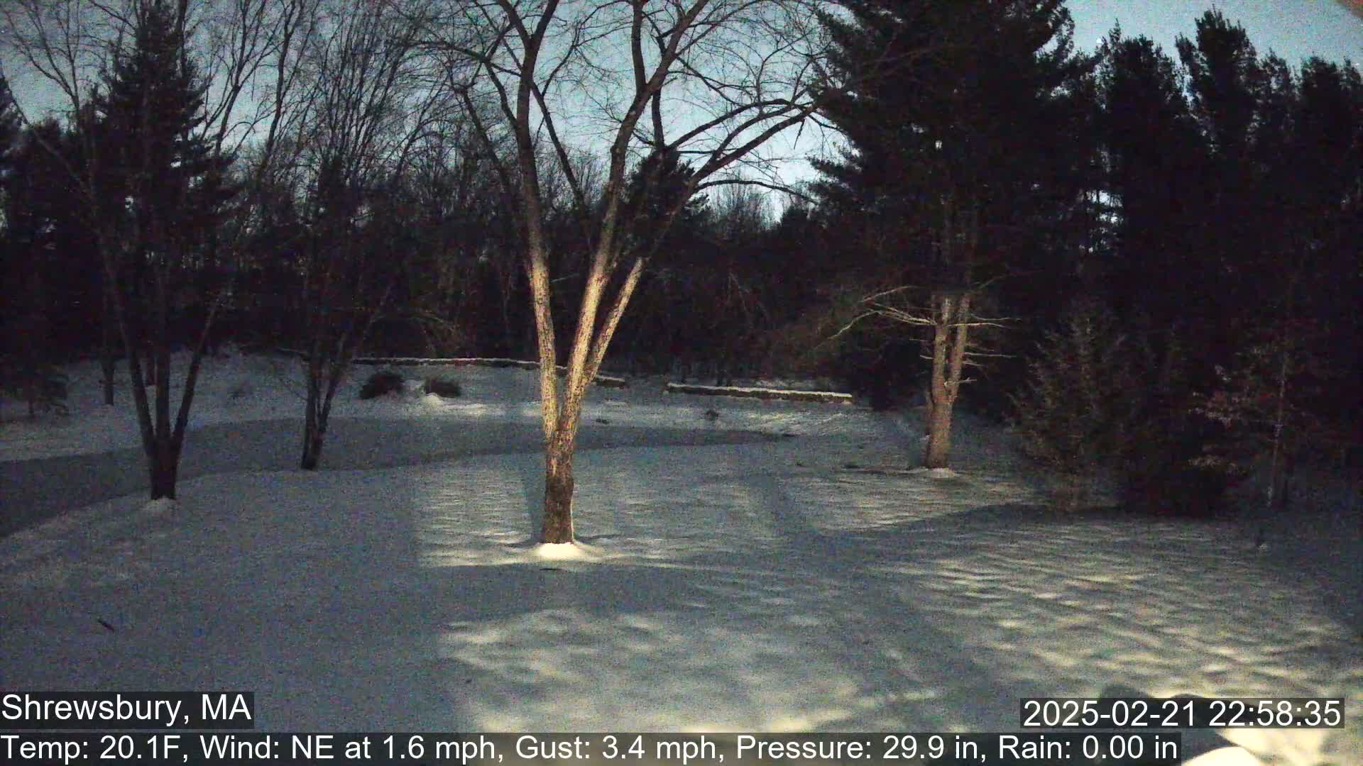 A snow-covered yard at twilight, surrounded by bare trees and evergreens under a dusky sky.