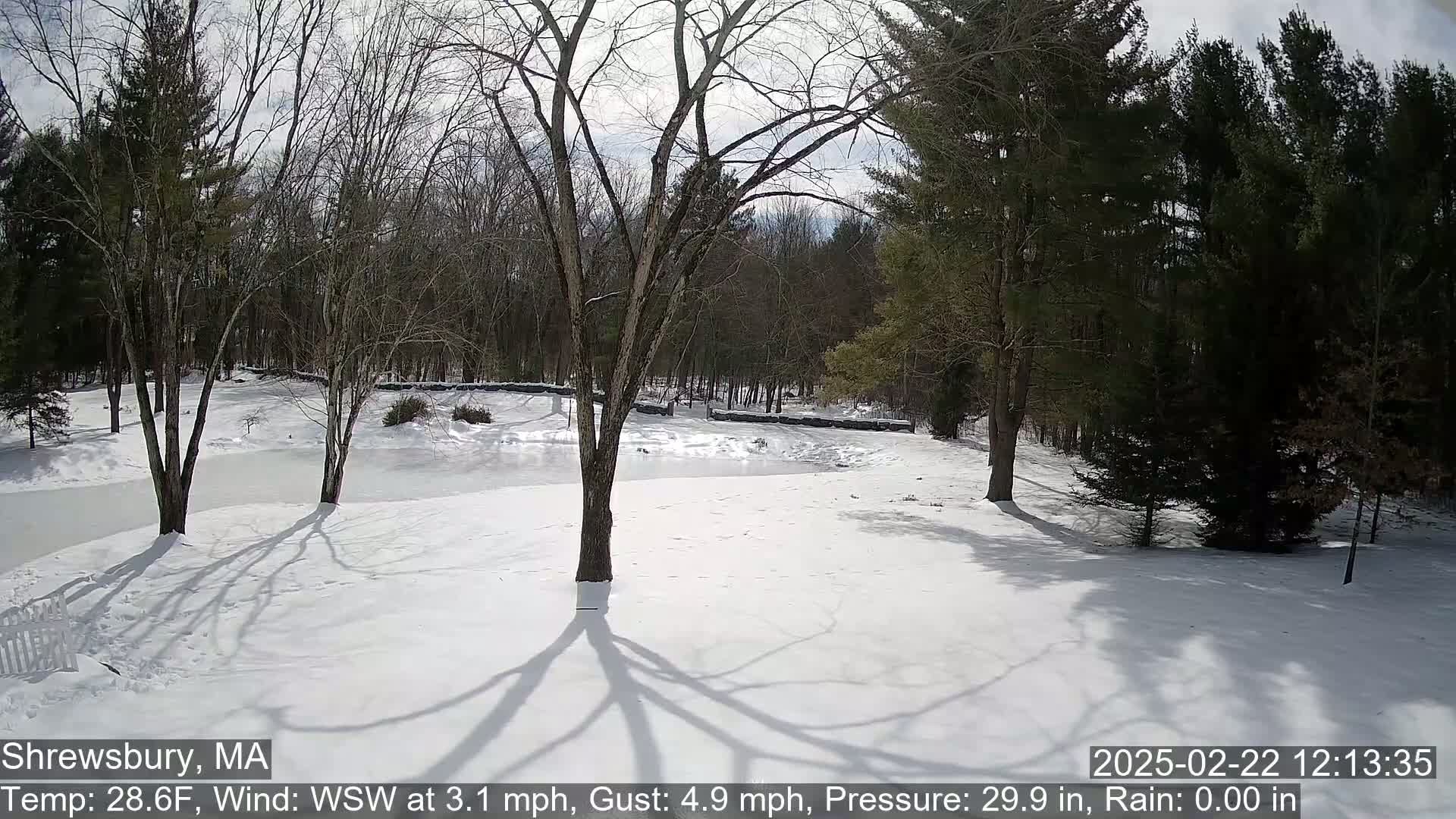 A snow-covered yard with leafless trees and a partially frozen pond is visible under a partly sunny sky.