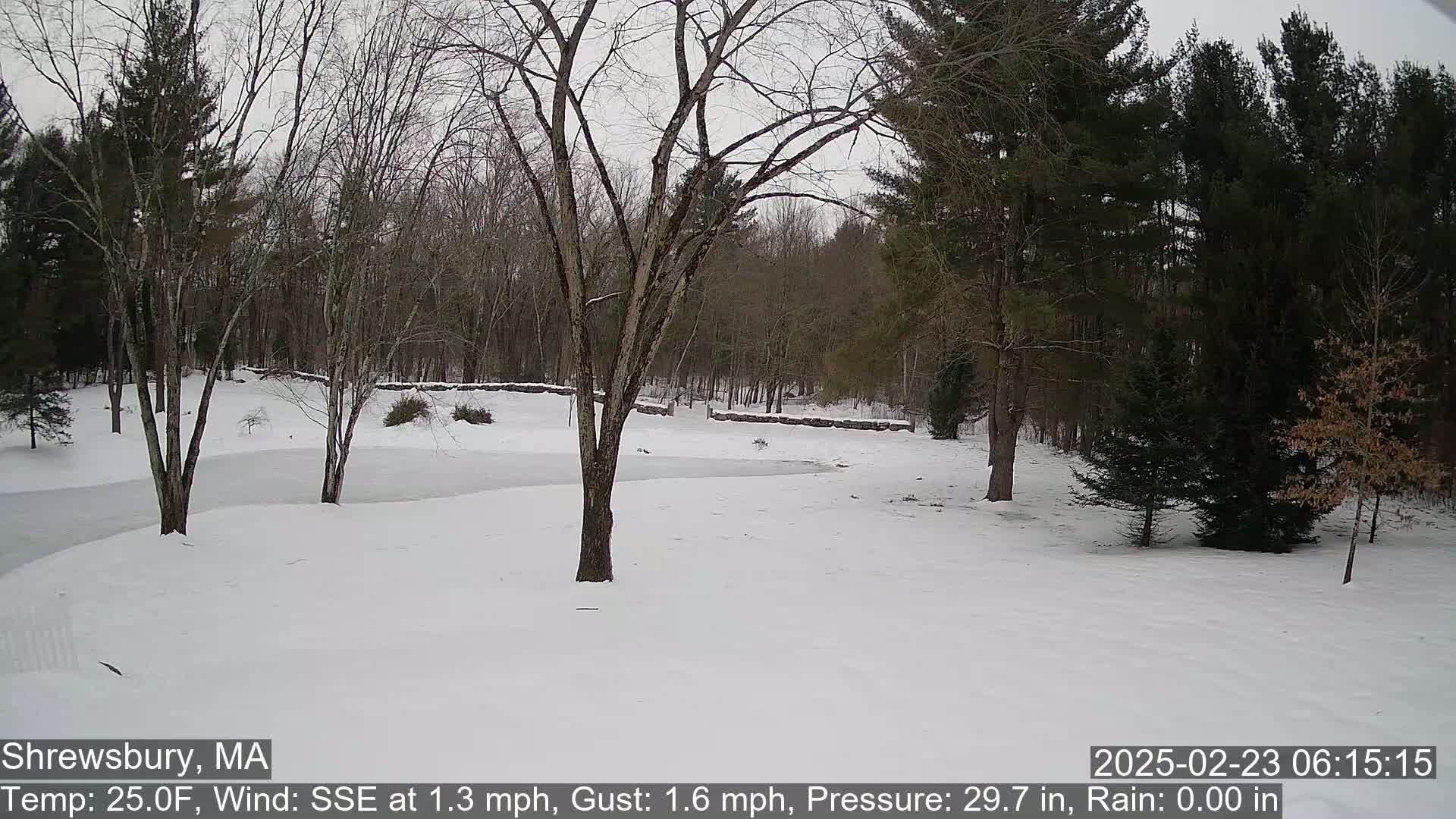 A snow-covered landscape with leafless trees and a partially frozen pond is visible under an overcast sky.