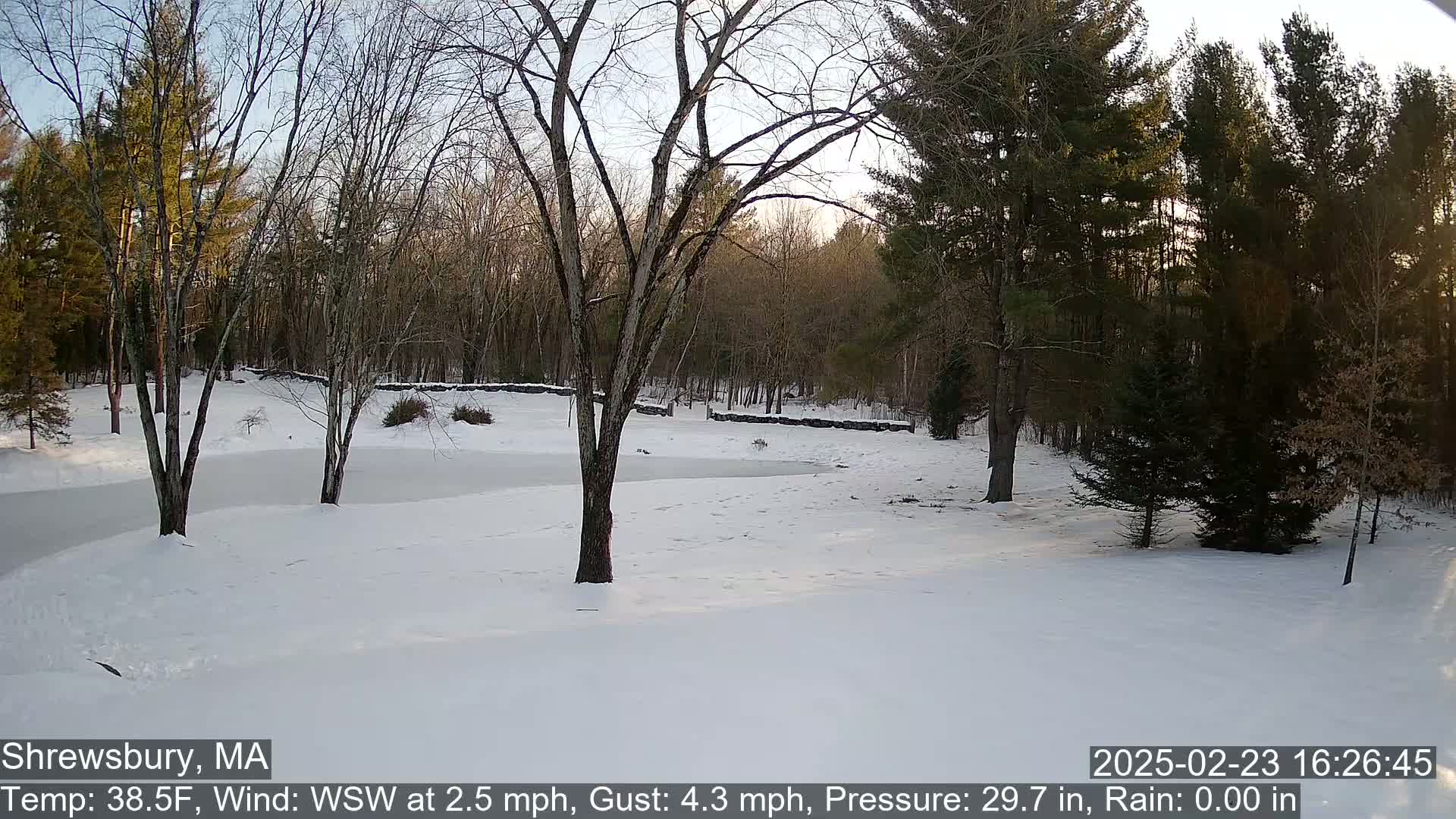 A snow-covered landscape with bare trees and a partially frozen pond is bathed in the soft light of late afternoon.