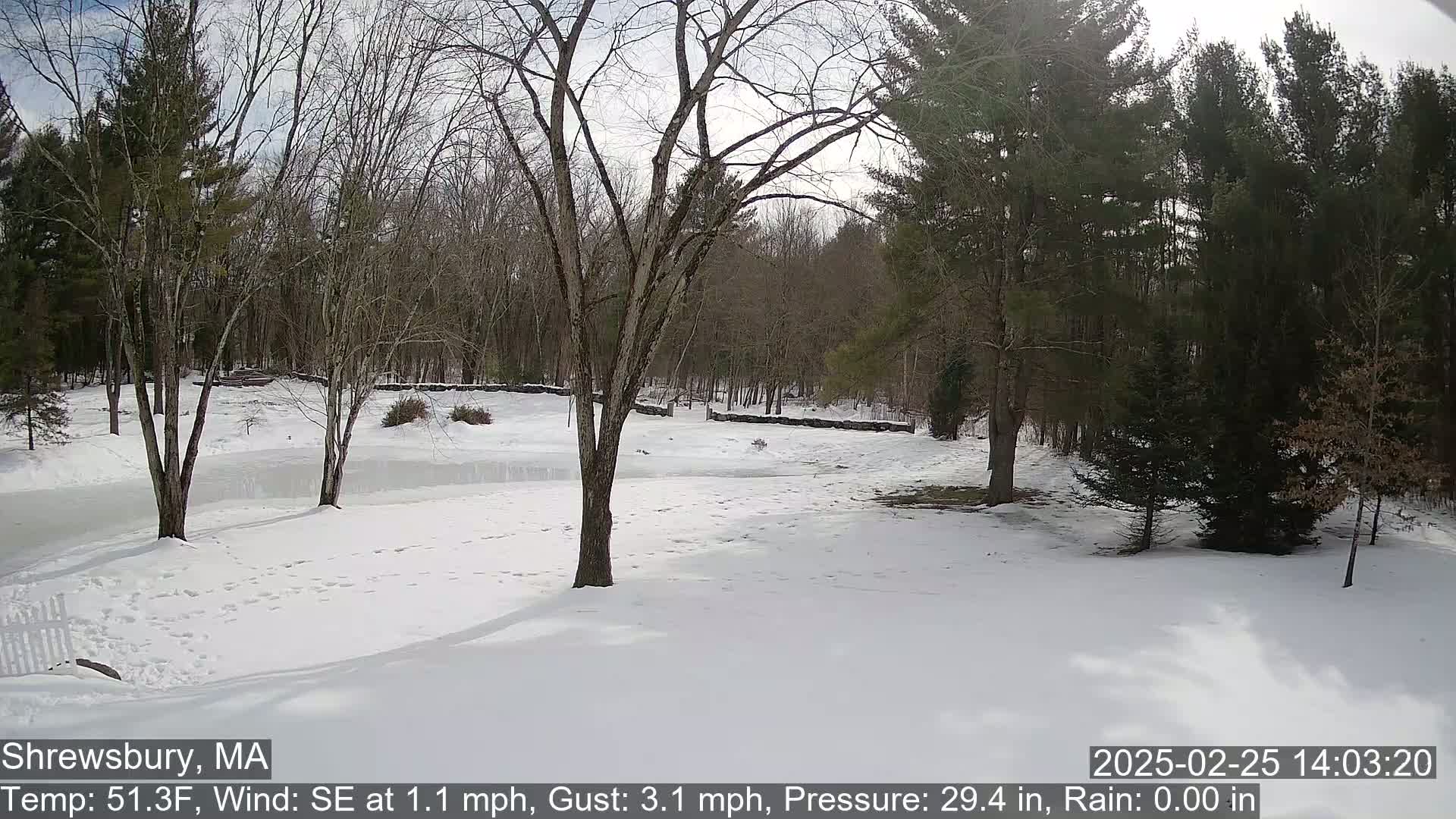 A snow-covered yard with bare trees and evergreens in the background under a partly cloudy sky.