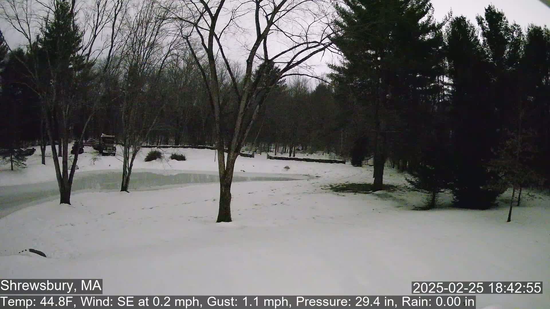 A snow-covered yard with bare trees and evergreens under a gray sky.