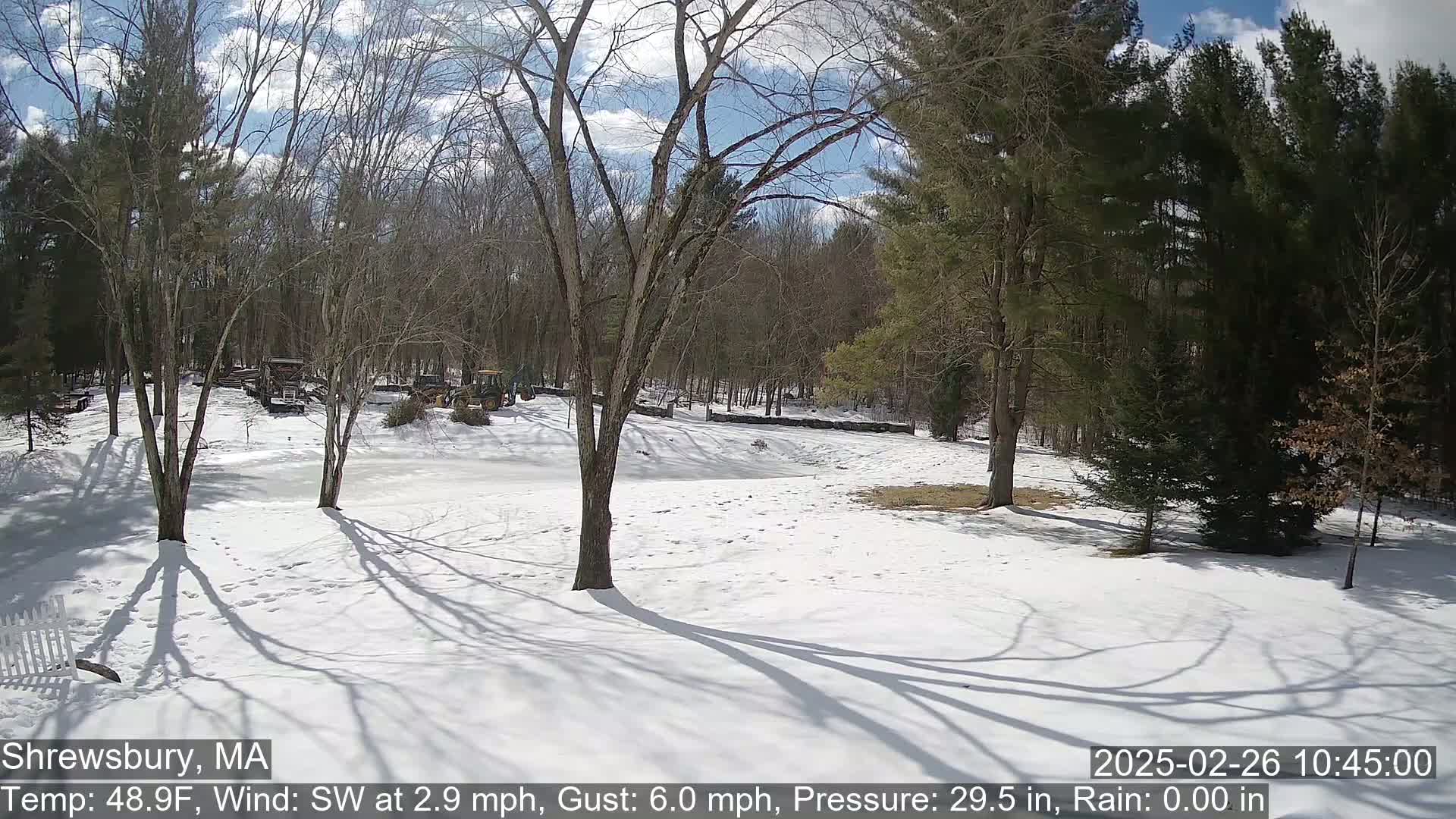 A snow-covered yard with bare deciduous trees and evergreens under a partly sunny sky.