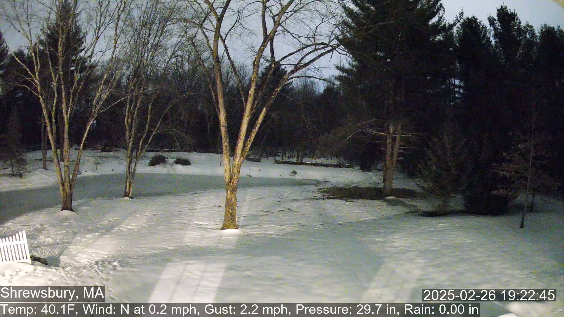 A snow-covered yard, illuminated by dim lighting, is surrounded by bare, leafless trees under a dark twilight sky.