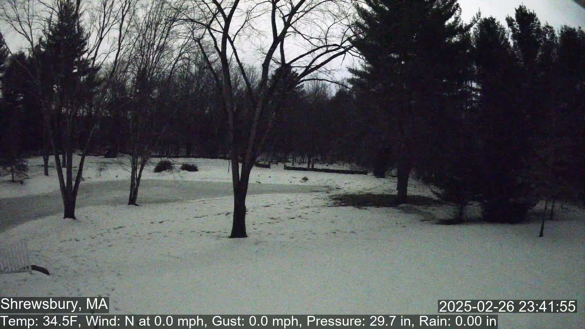 A snow-covered yard with bare trees under a twilight sky.