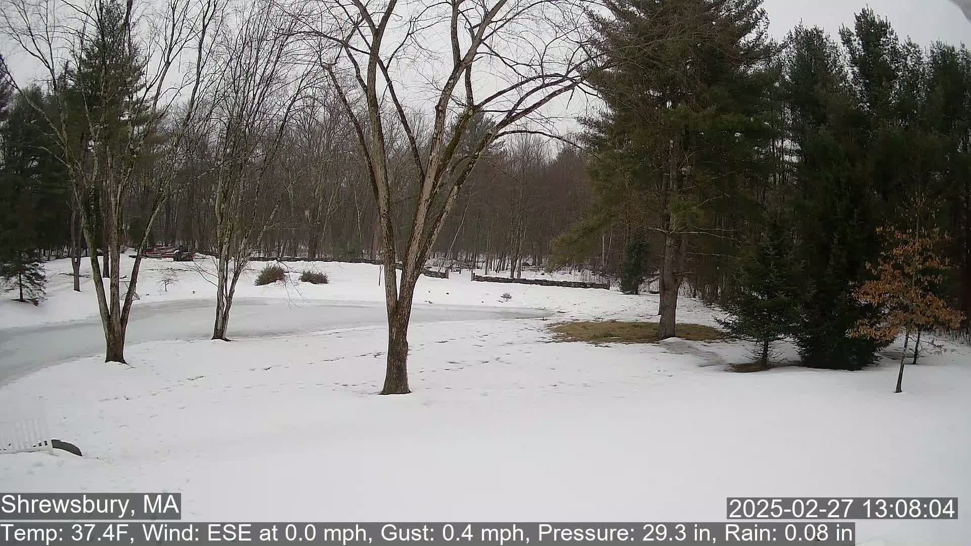 A snow-covered landscape with leafless trees and a partly frozen body of water is visible under an overcast sky.