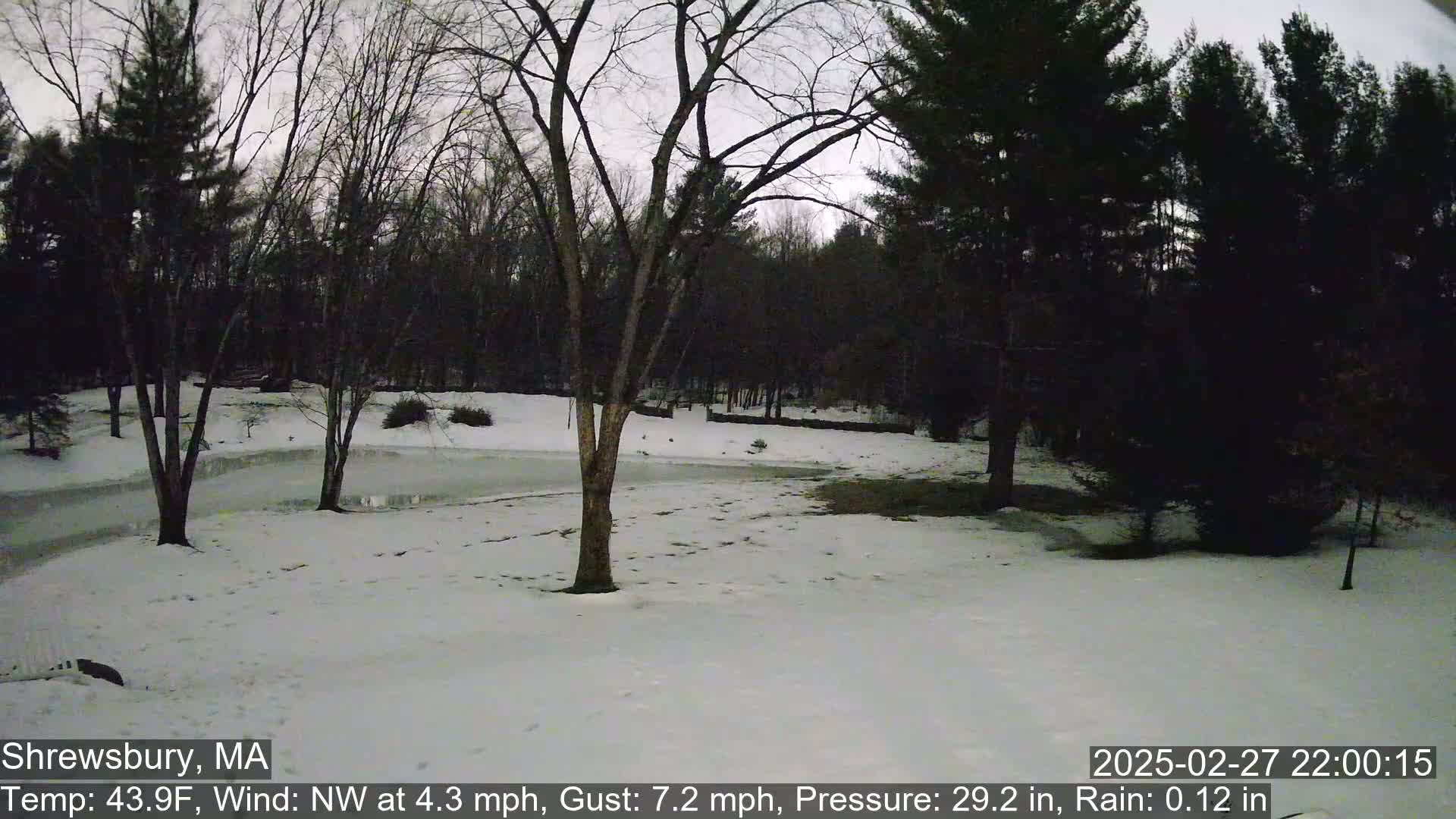 A snow-covered yard with bare trees and a wooded backdrop under a twilight sky.