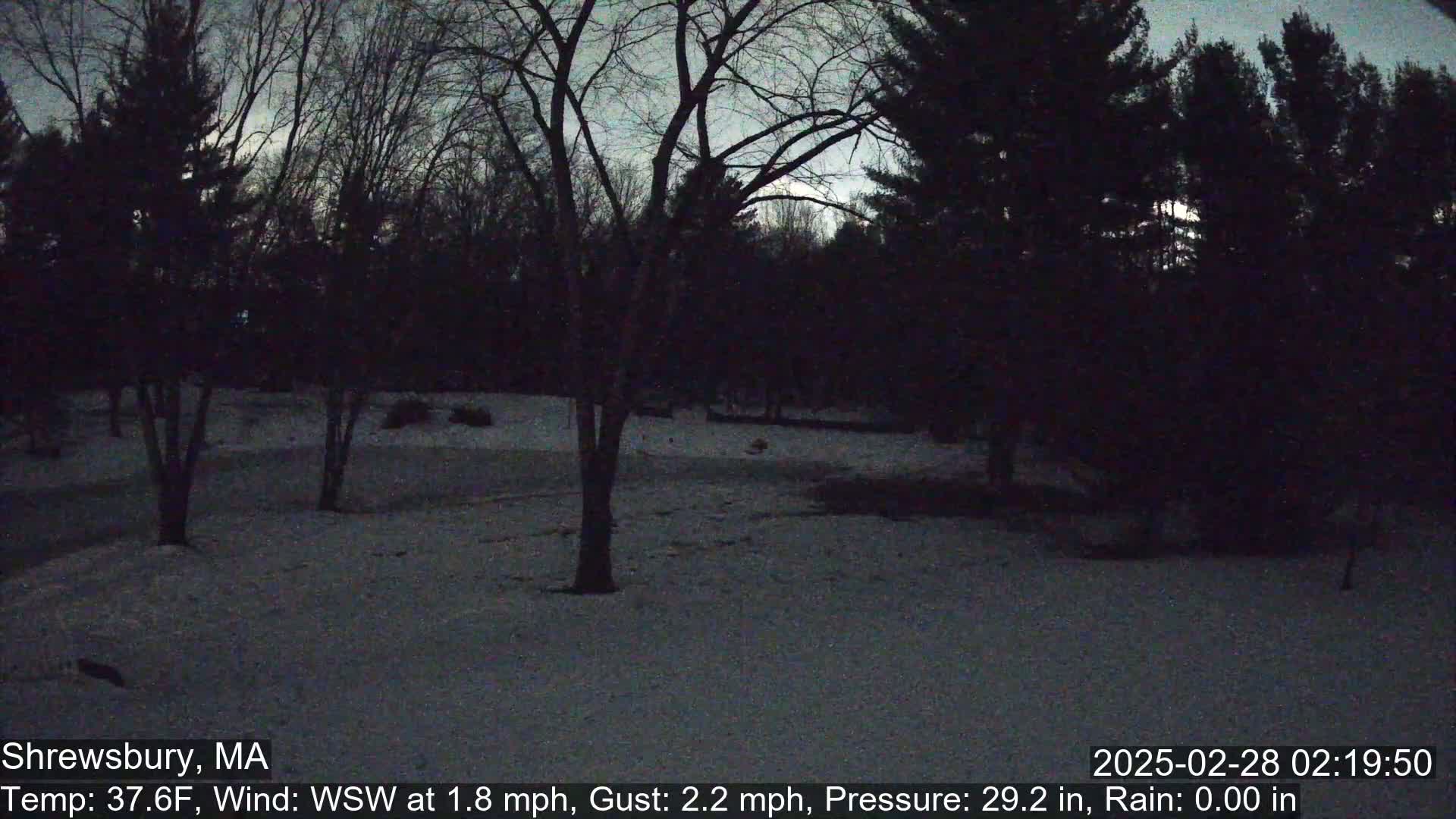 A snow-covered yard at night, surrounded by dark trees under a dim sky.